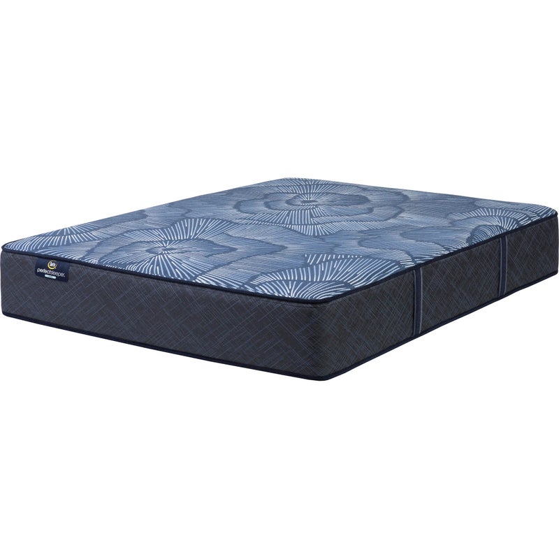 Serta Perfect Sleeper Endearing Nights 14" Hybrid Plush Queen Mattress, Dark Blue