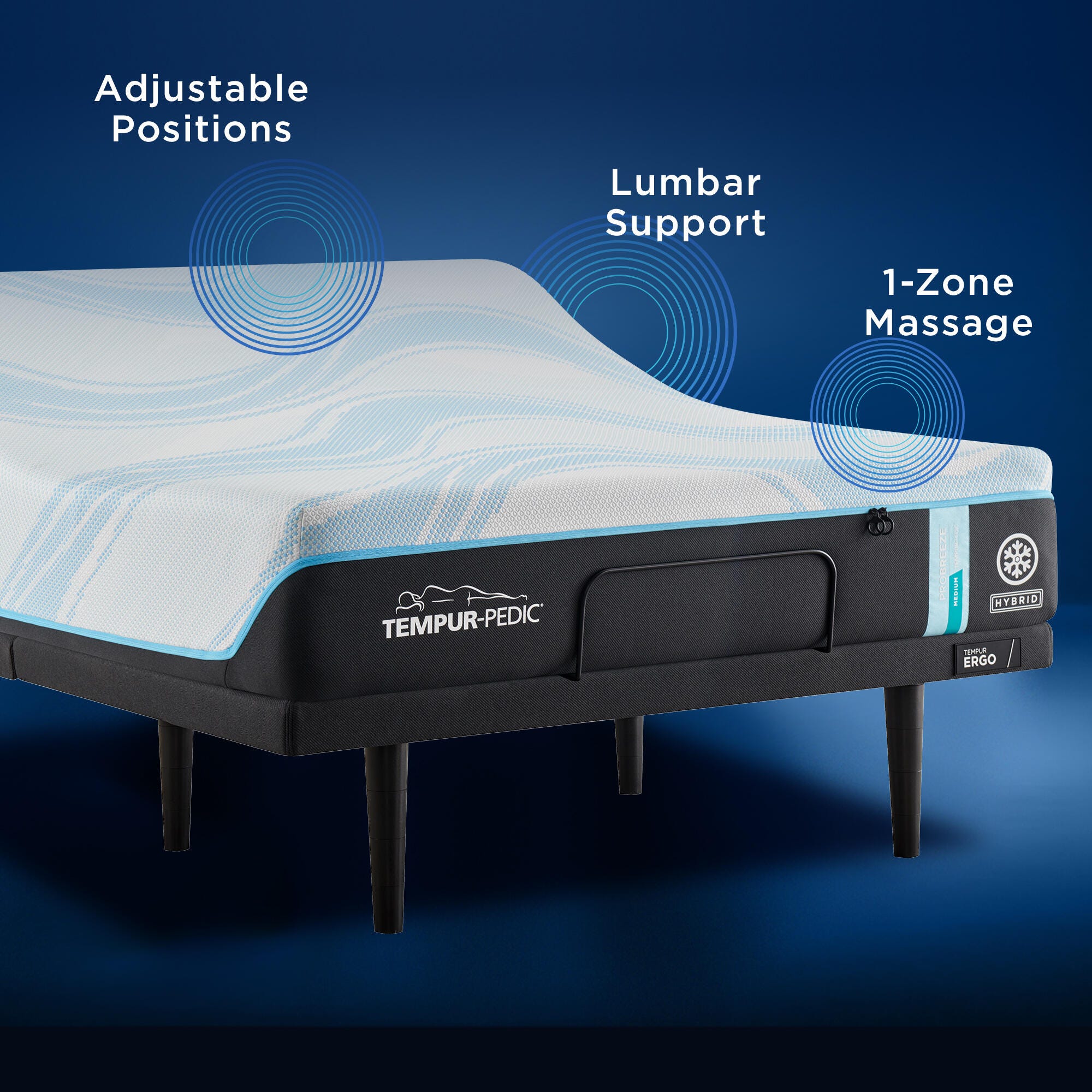TEMPUR Ergo King Power Base | Ashley