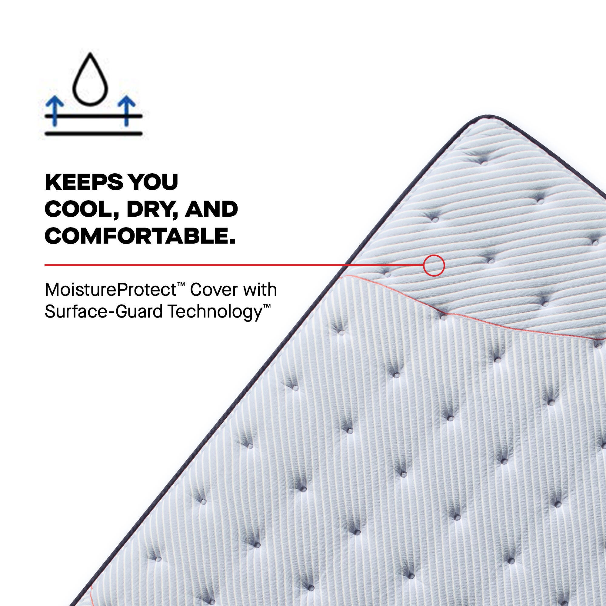 Sealy Posturepedic® Cedar Knolls Medium Queen Mattress, Blue, large