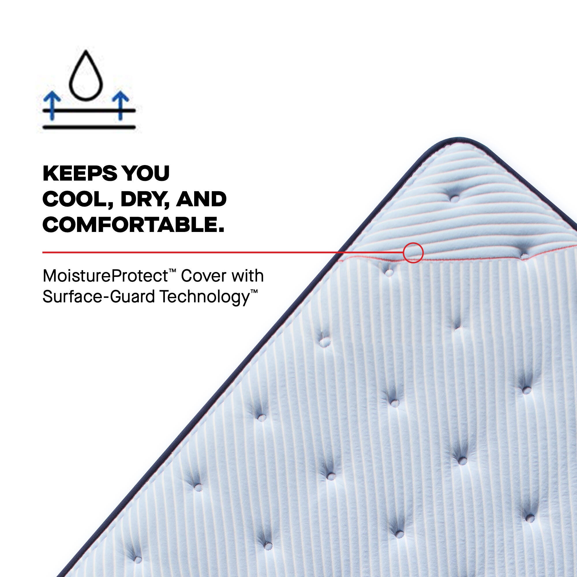Sealy Posturepedic® Plus Split California King Mattress, Blue, large