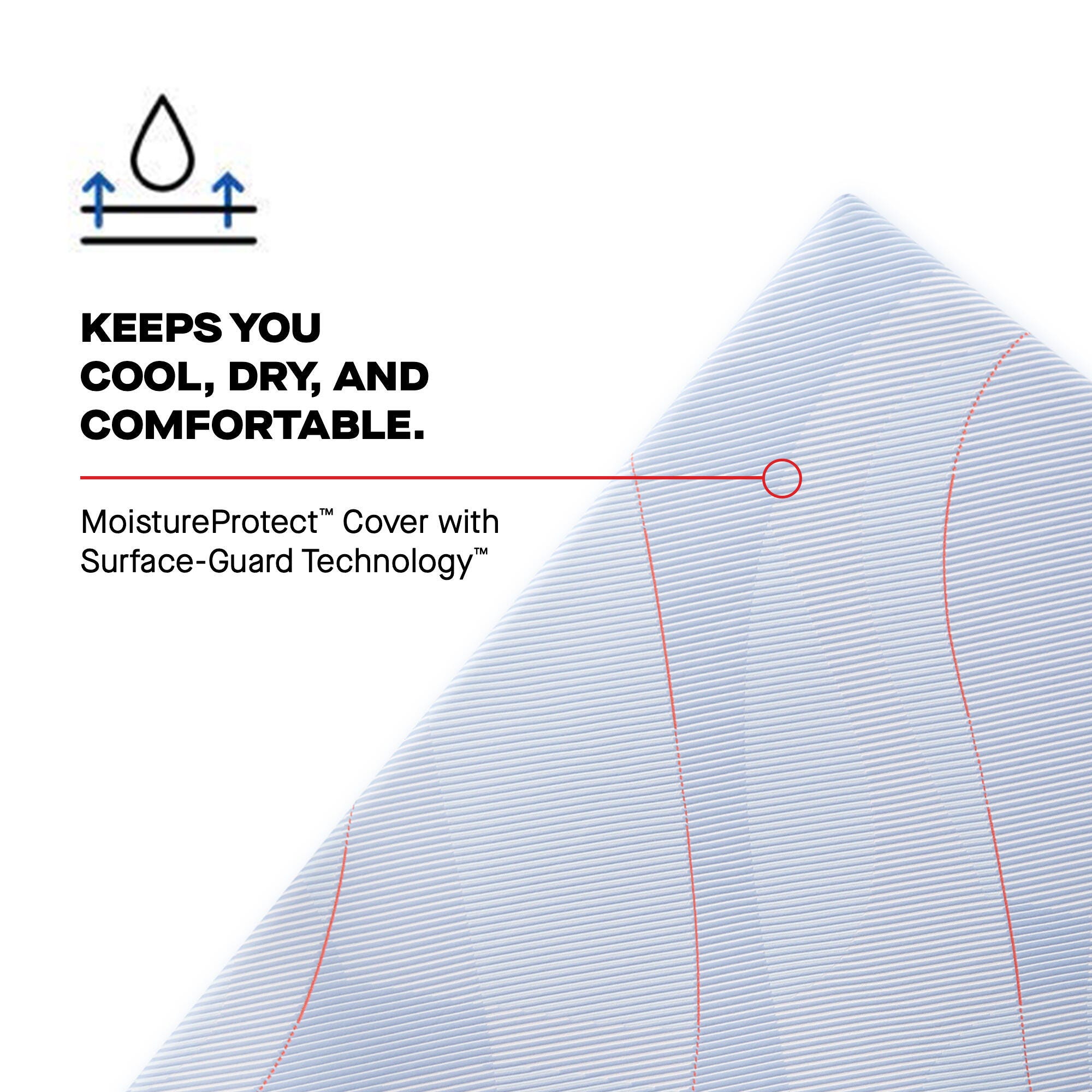 Sealy Posturepedic® Split California King Mattress, Blue, large