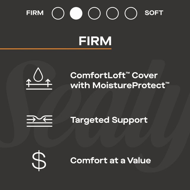 Sealy® Princeton II Firm Full Mattress