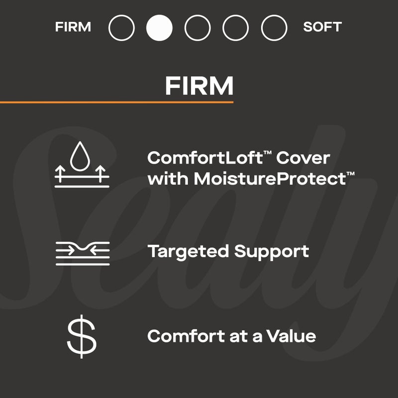 Sealy® Princeton II Firm Queen Mattress, Gray