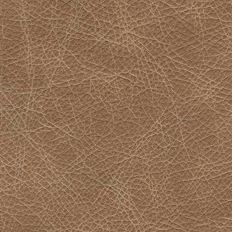 Swatch color Tumbleweed 