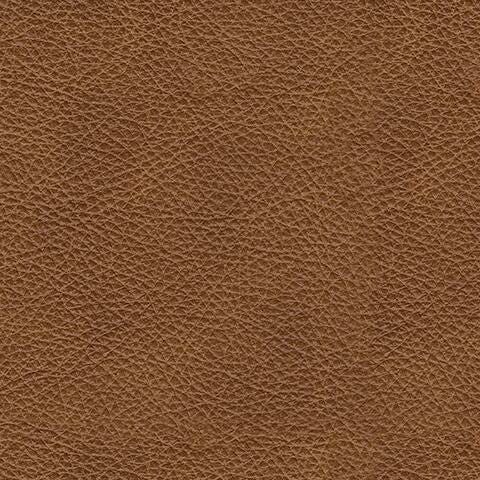 Carianna Queen Sofa Sleeper - image 7