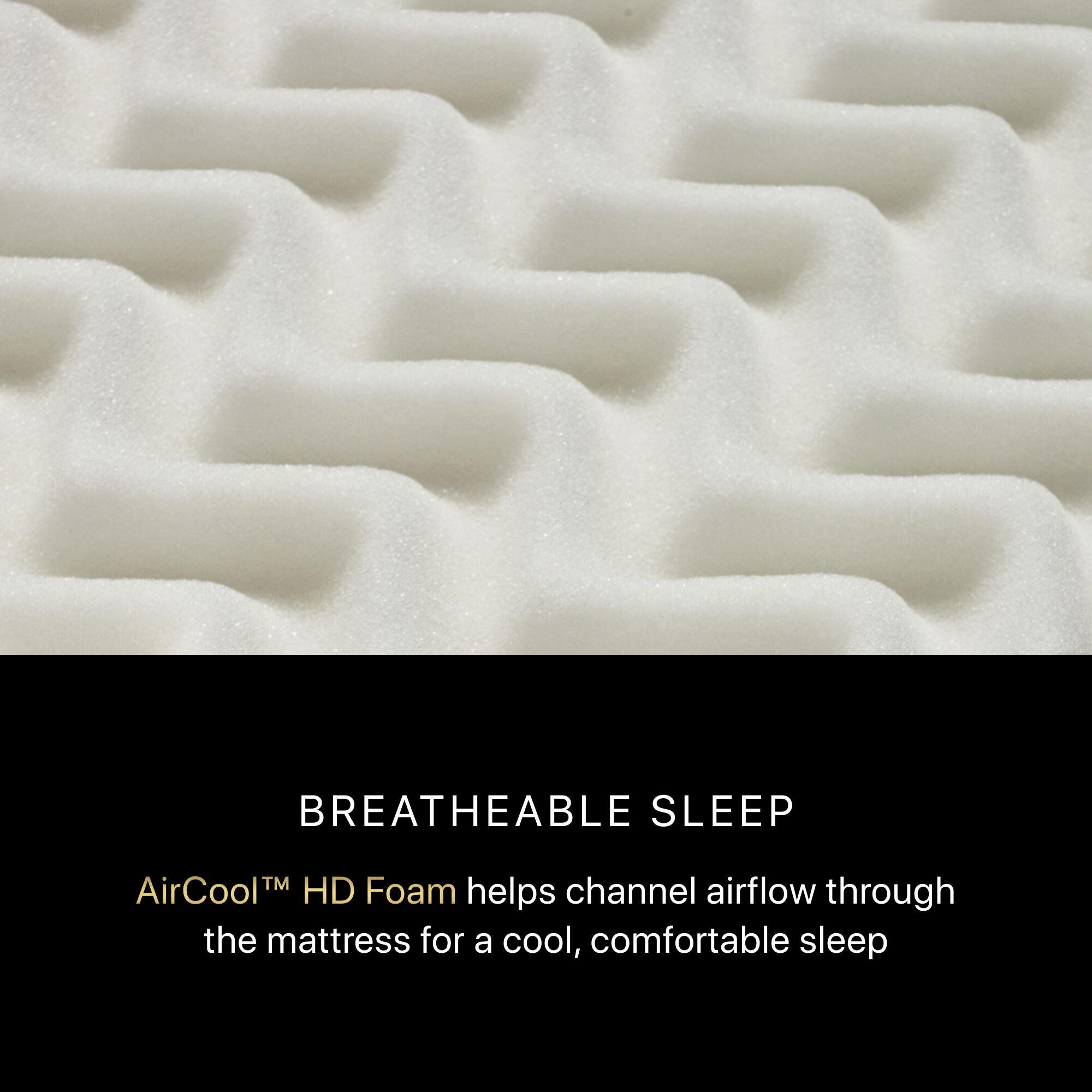 Beautyrest Black Series Two Medium 15.5" Queen Mattress, Black, large