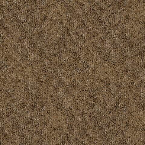 Swatch color Earth 