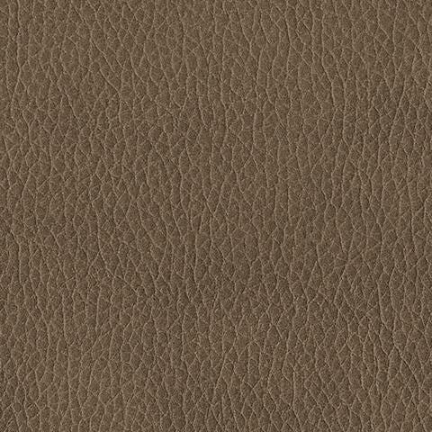 Swatch color Biscotti , product with this swatch is currently selected