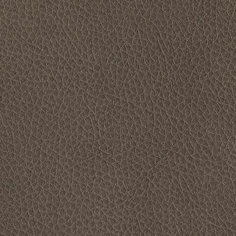 Swatch color Ash 