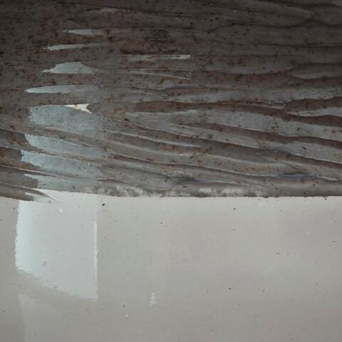 Harpwick Vase - image 3