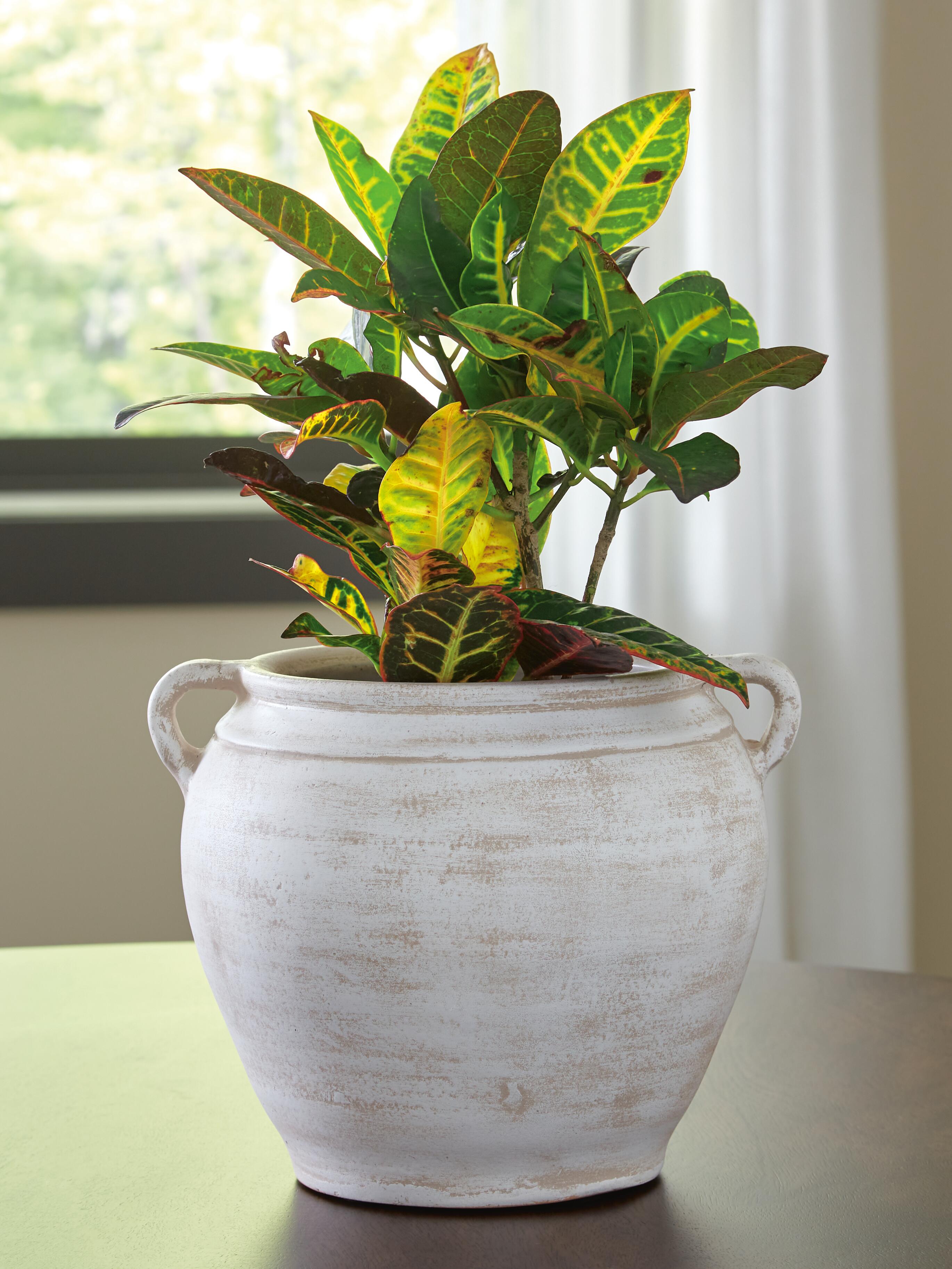 Meadie Vase - image 1