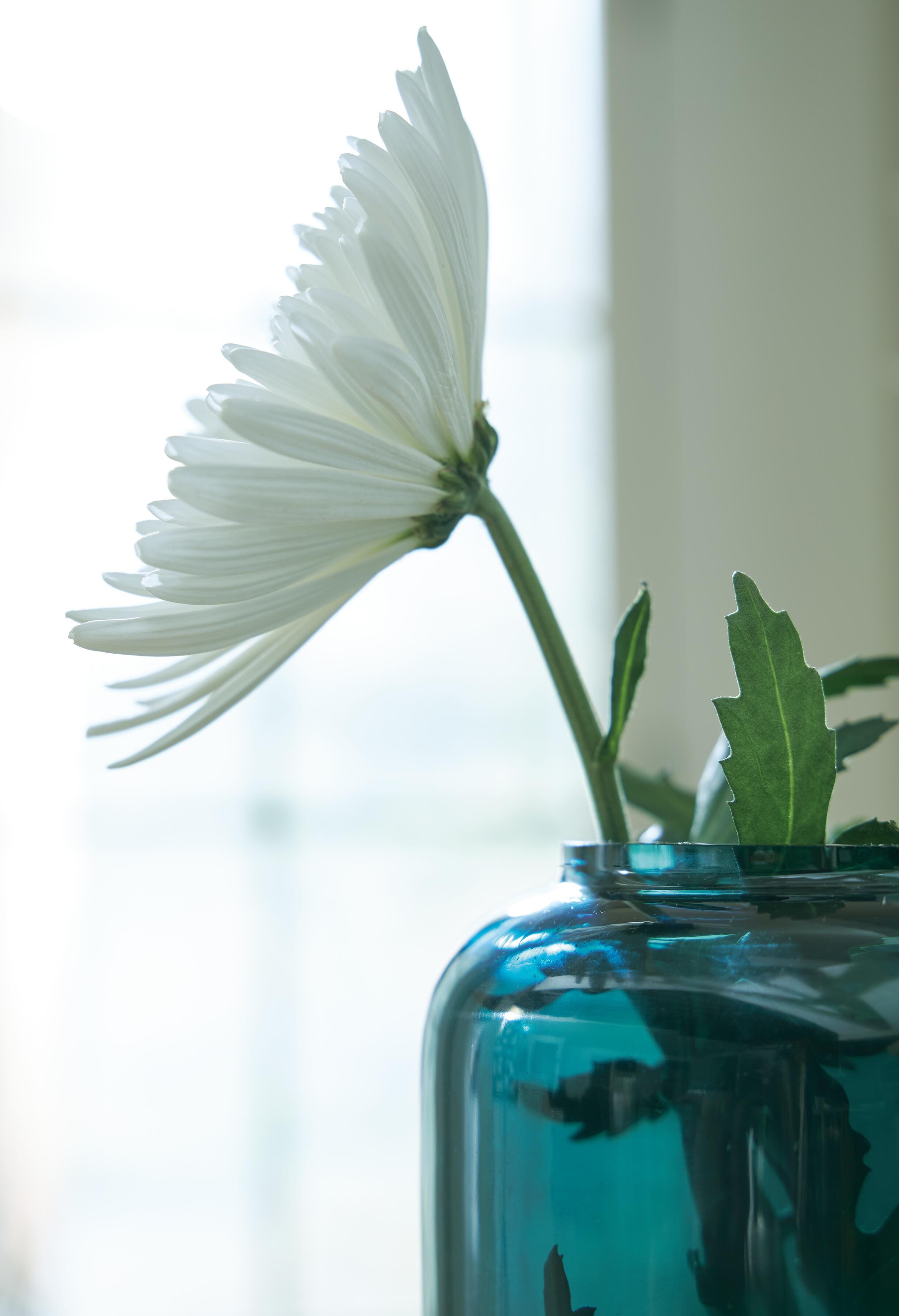 Inisland Vase - image 3