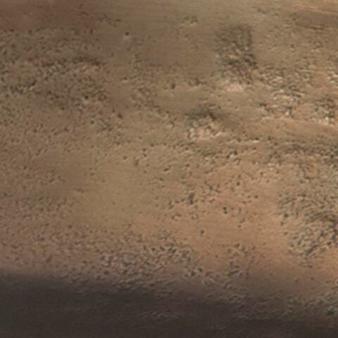 Wallmen Tray - image 5