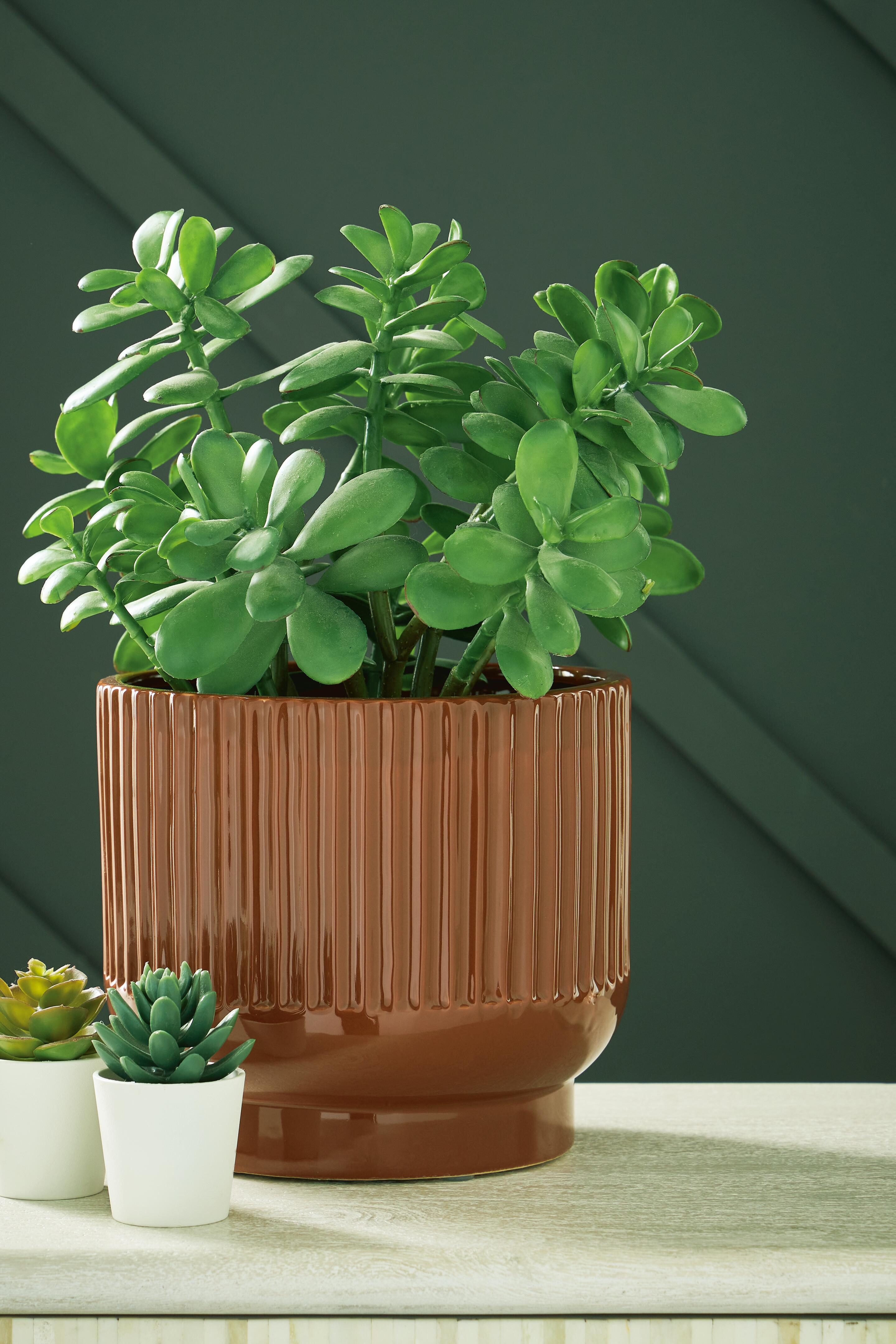 Avalyah Vase (Set of 2) - image 1