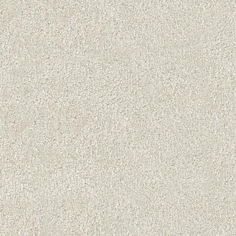 Swatch color Snow , product with this swatch is currently selected