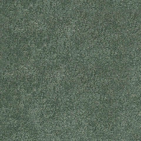 Swatch color Juniper 