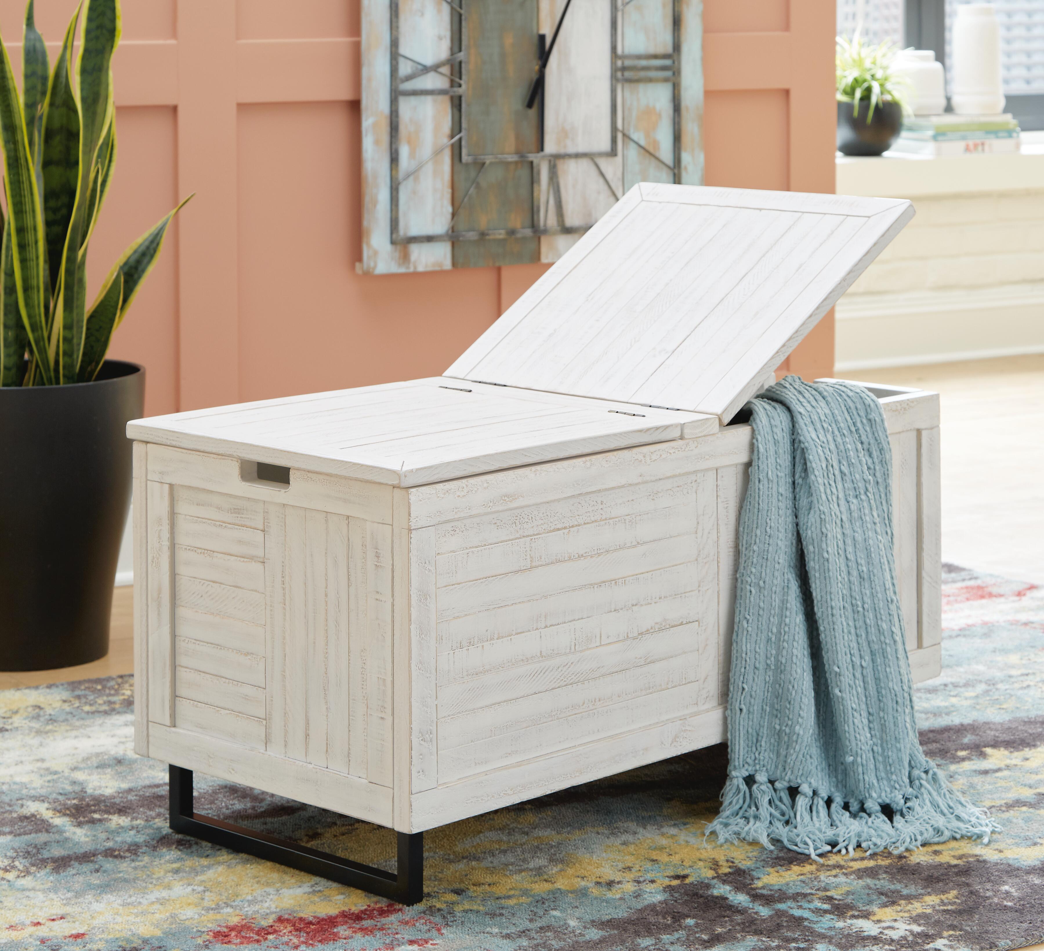 Coltport Storage Trunk, Distressed White, large
