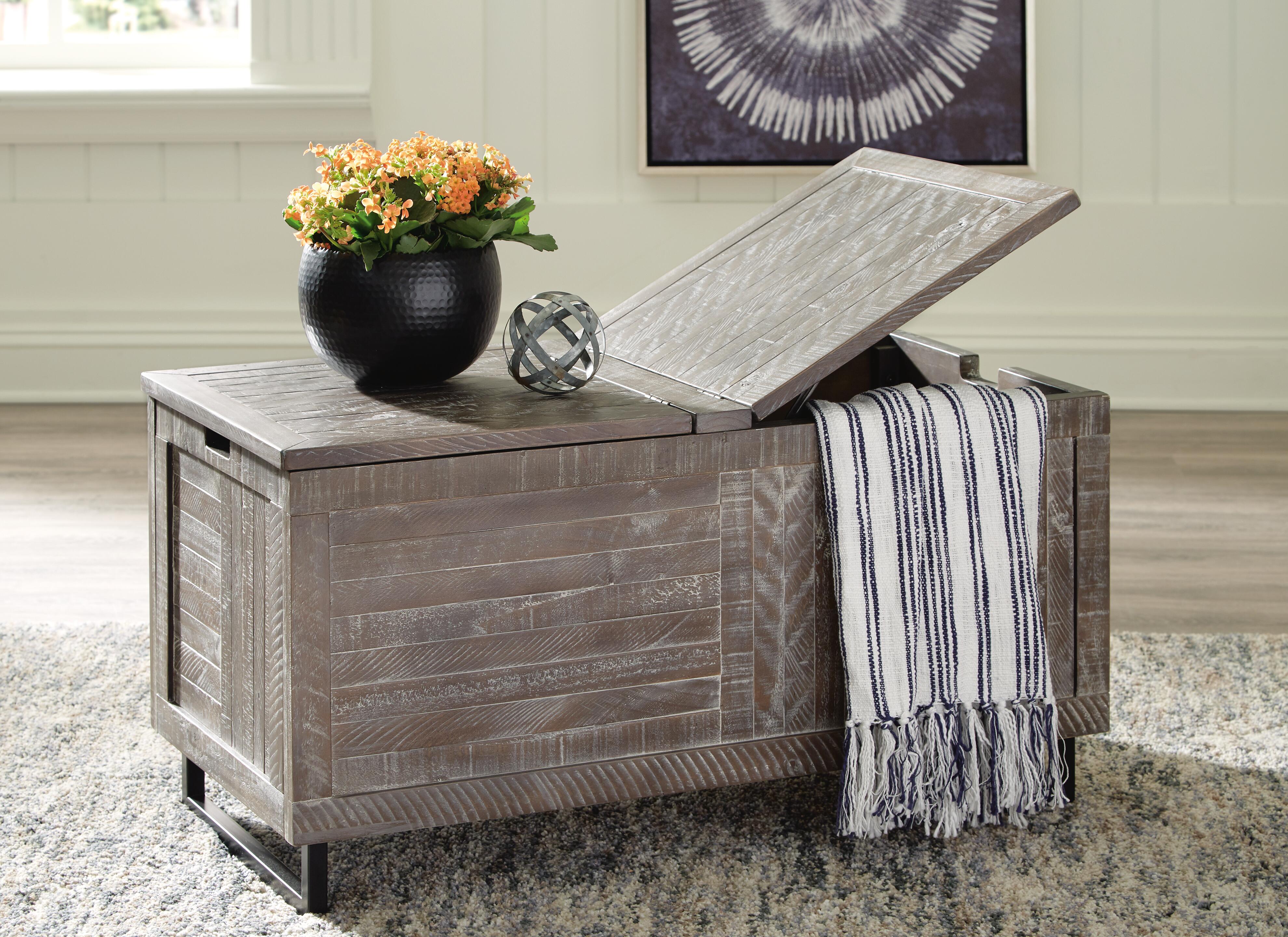 Coltport Storage Trunk, Distressed Gray, large