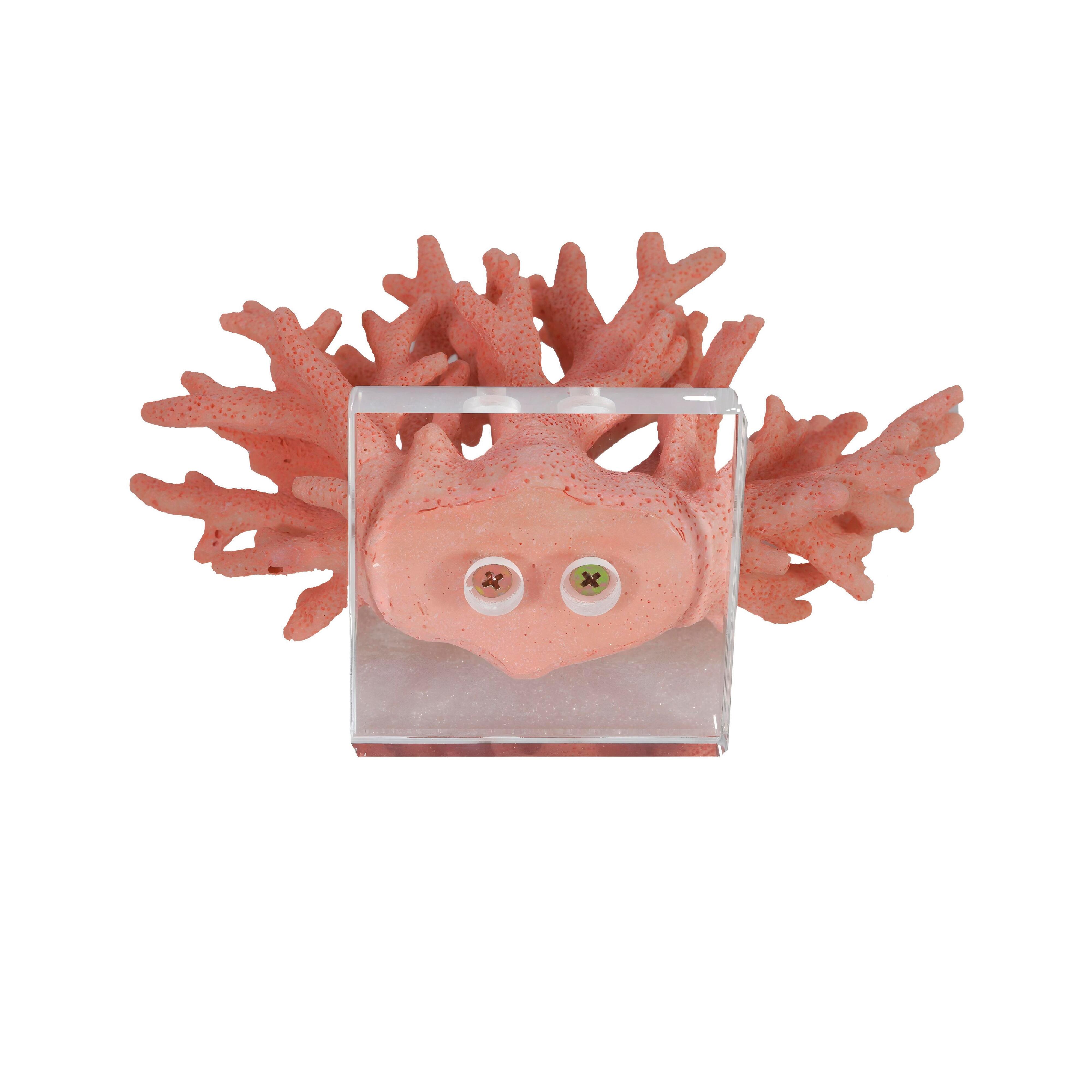 Sculpture Sculpture - image 3