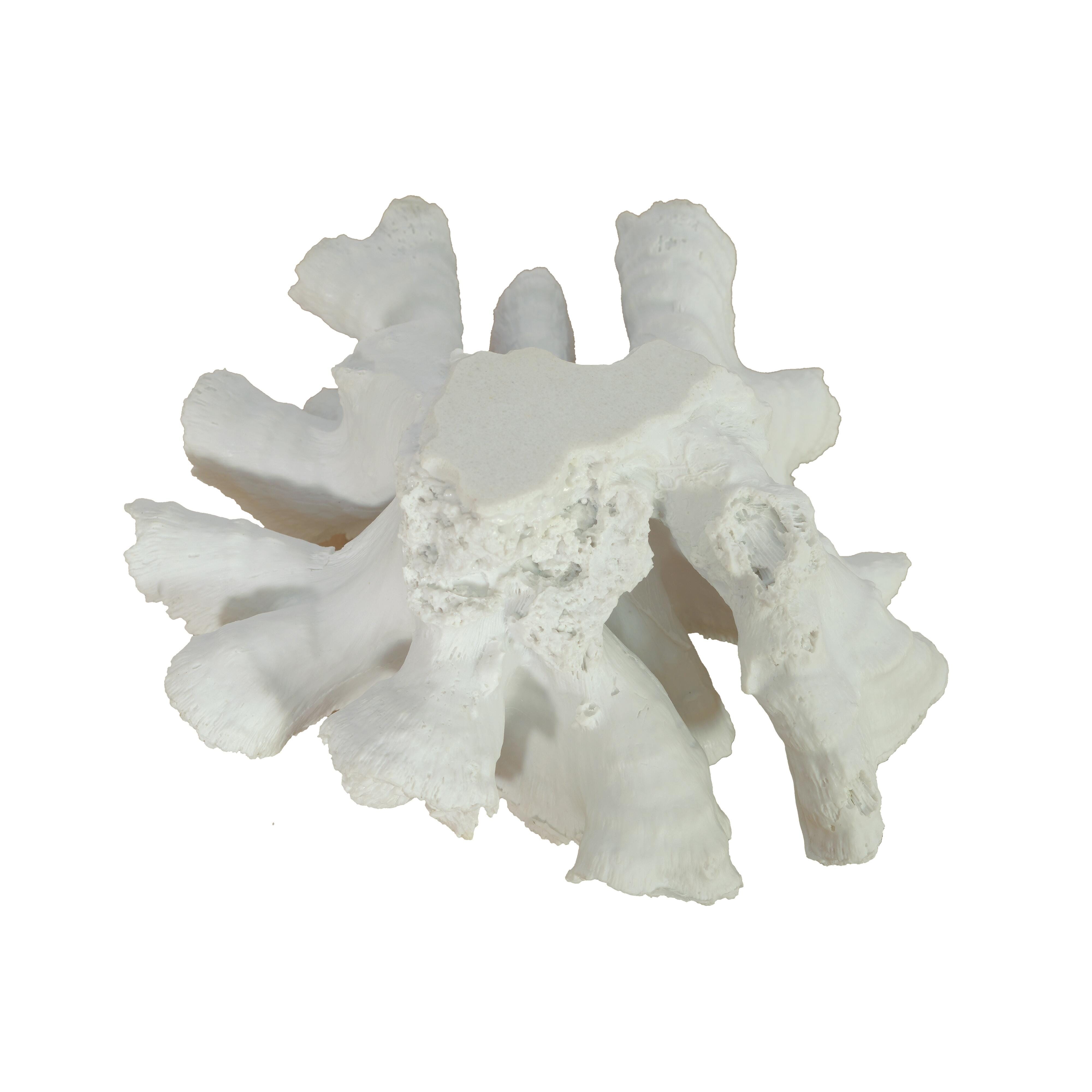 Sculpture Sculpture - image 4