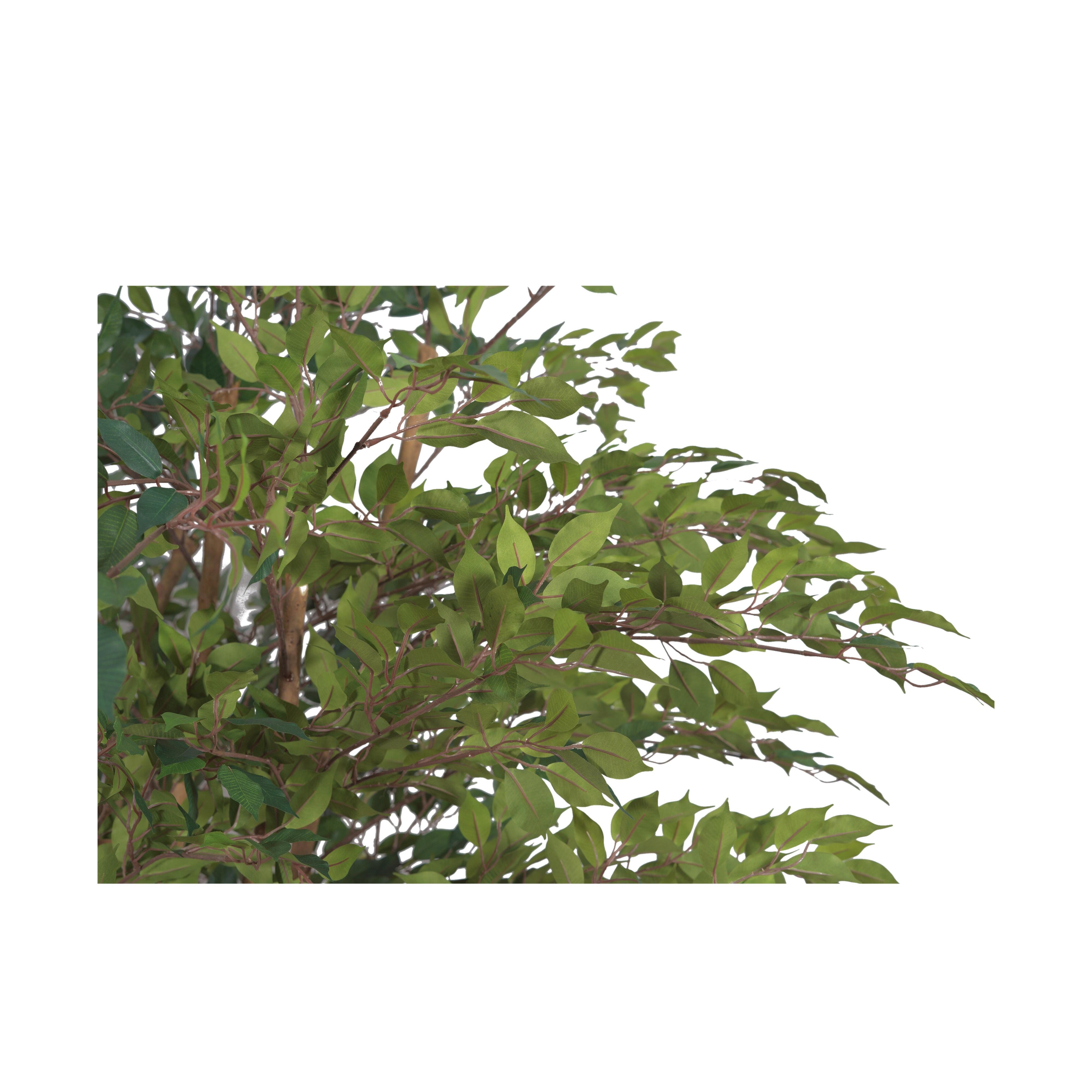 Greenery Greenery - image 3