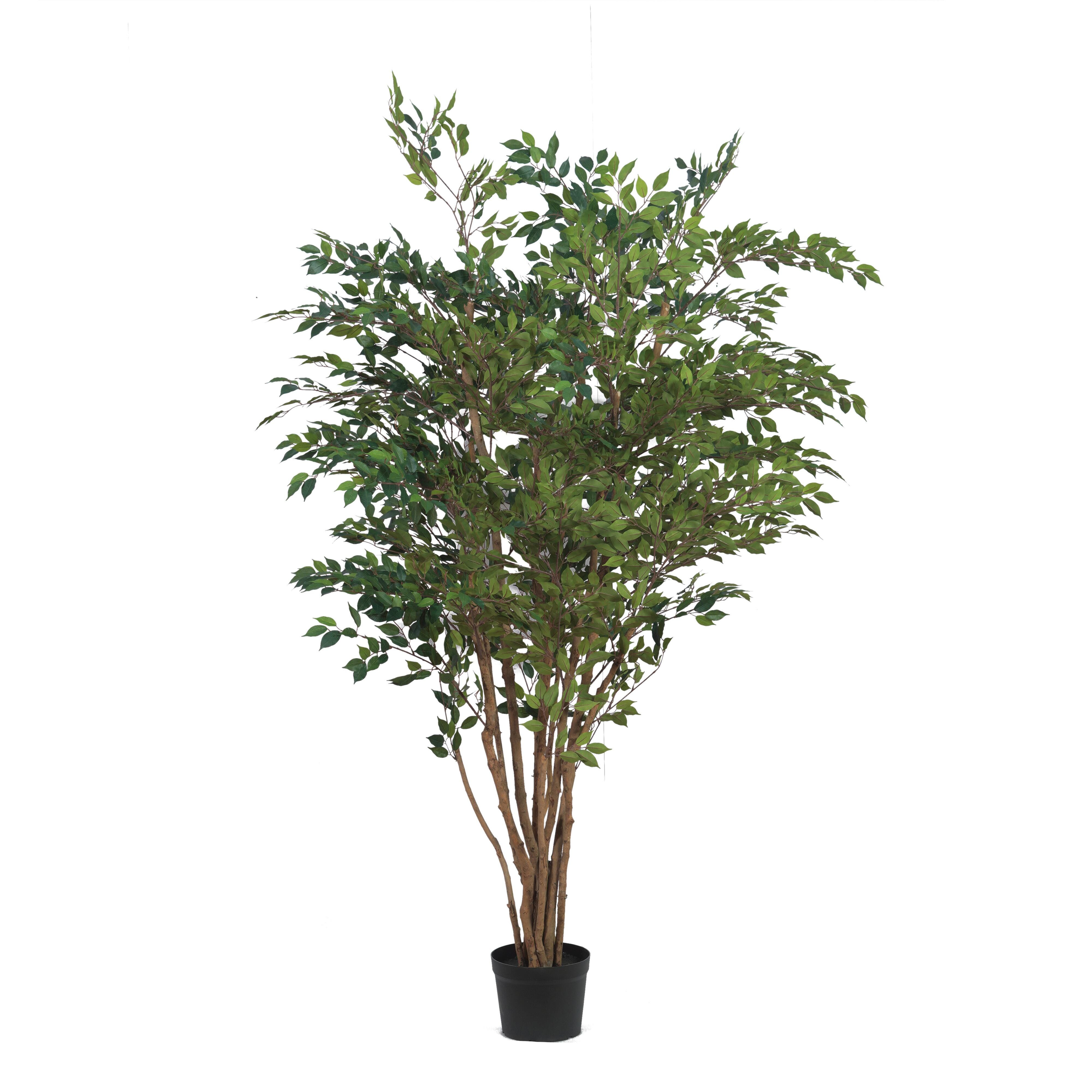 Greenery Greenery - image 1