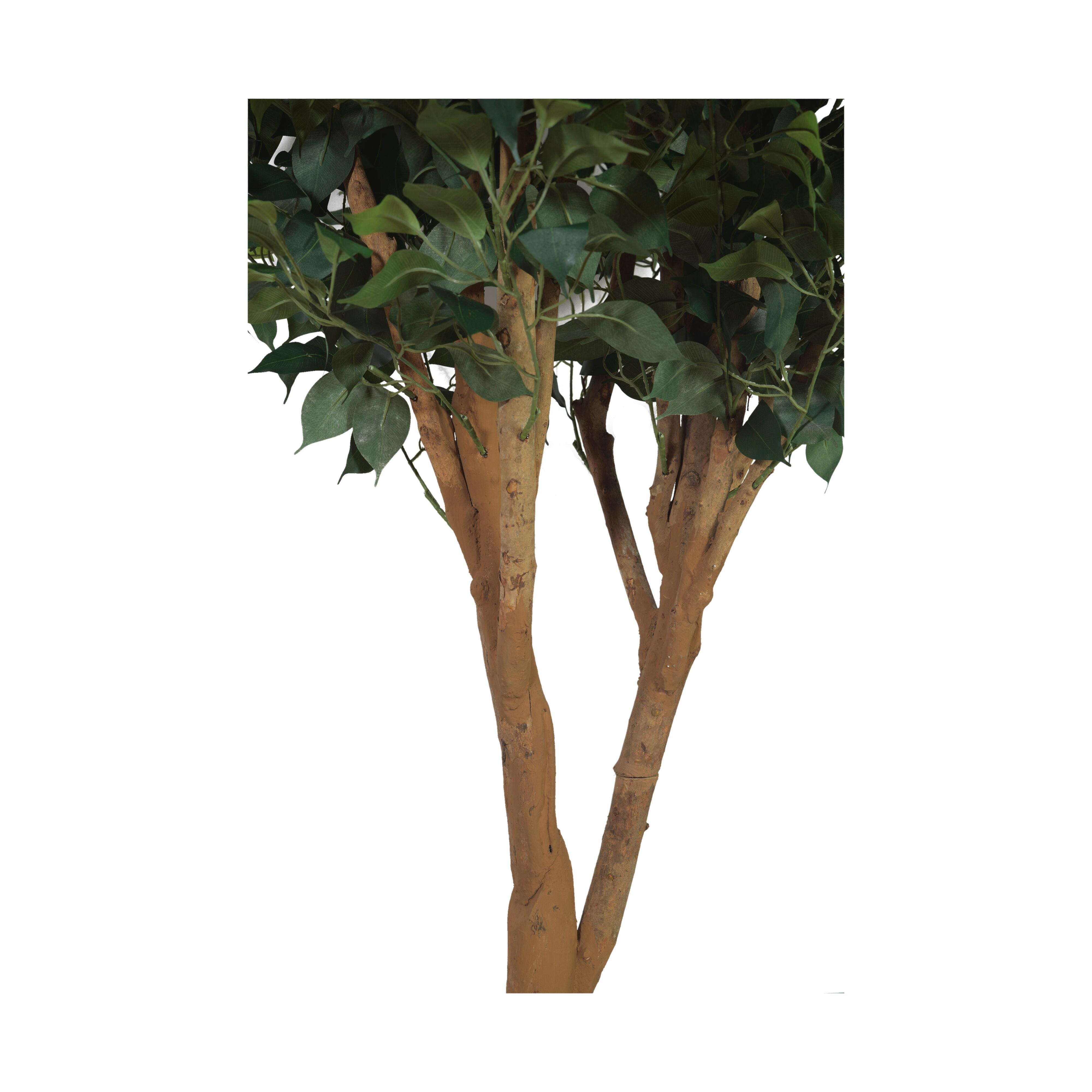 Greenery Greenery - image 2