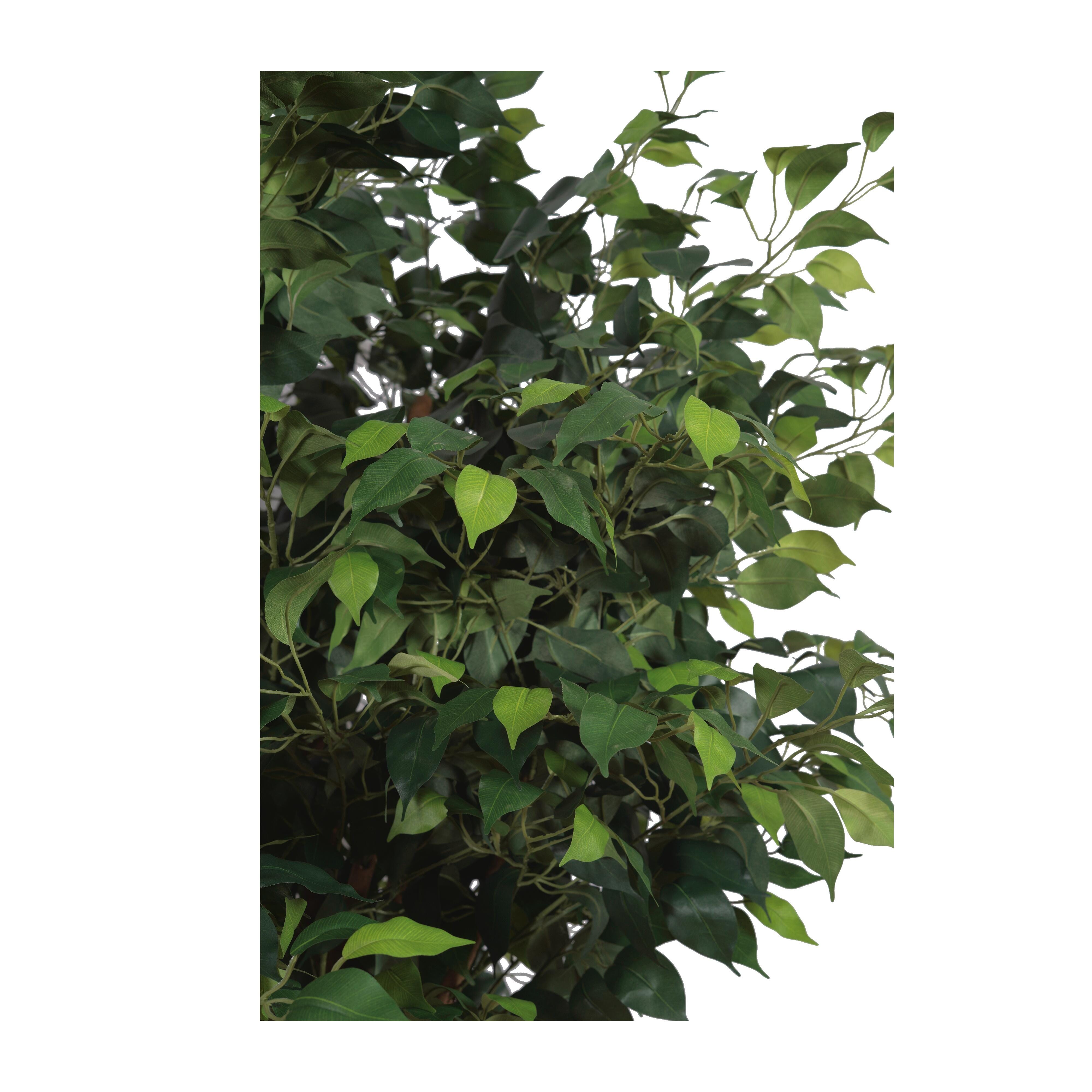 Greenery Greenery - image 3