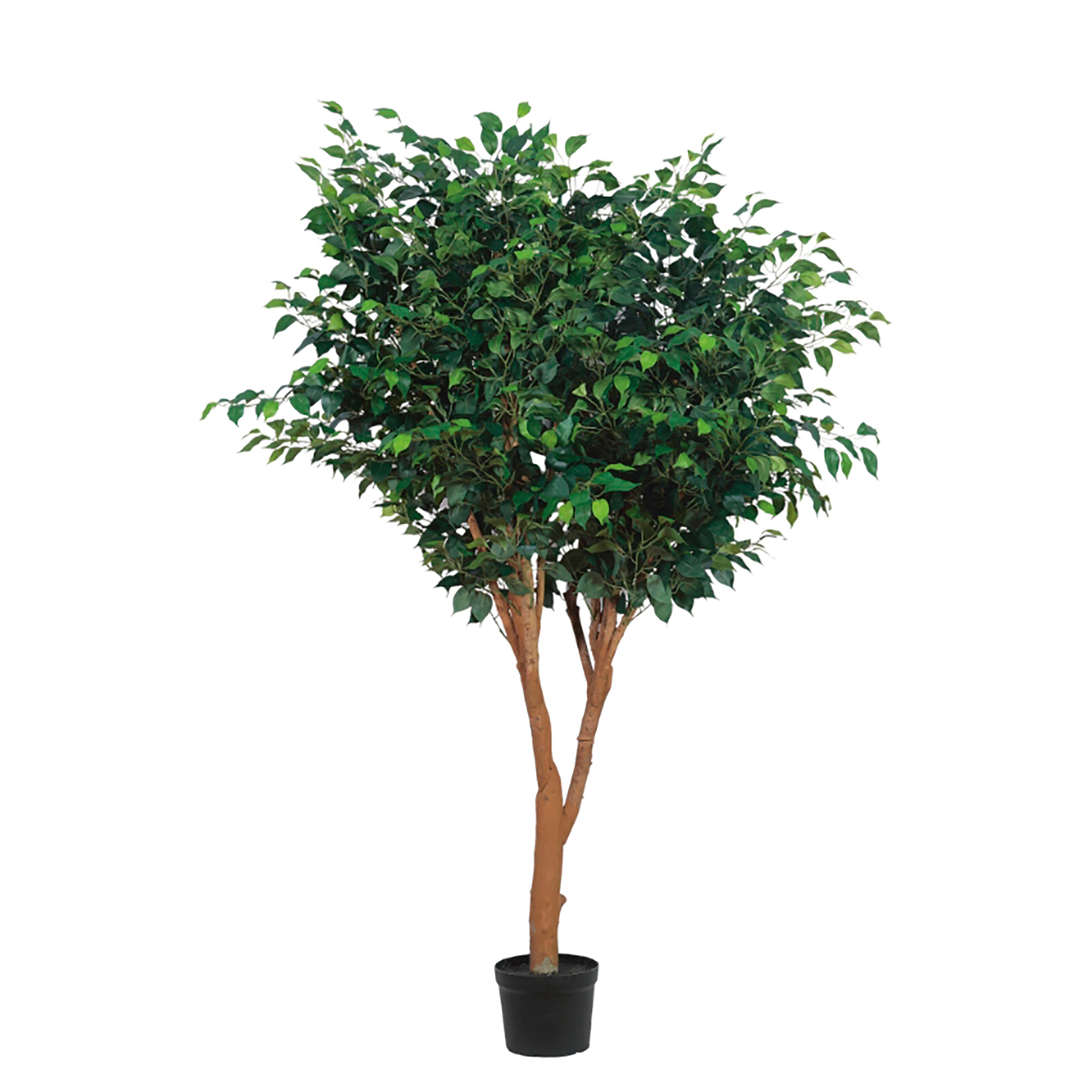 Greenery Greenery - image 1