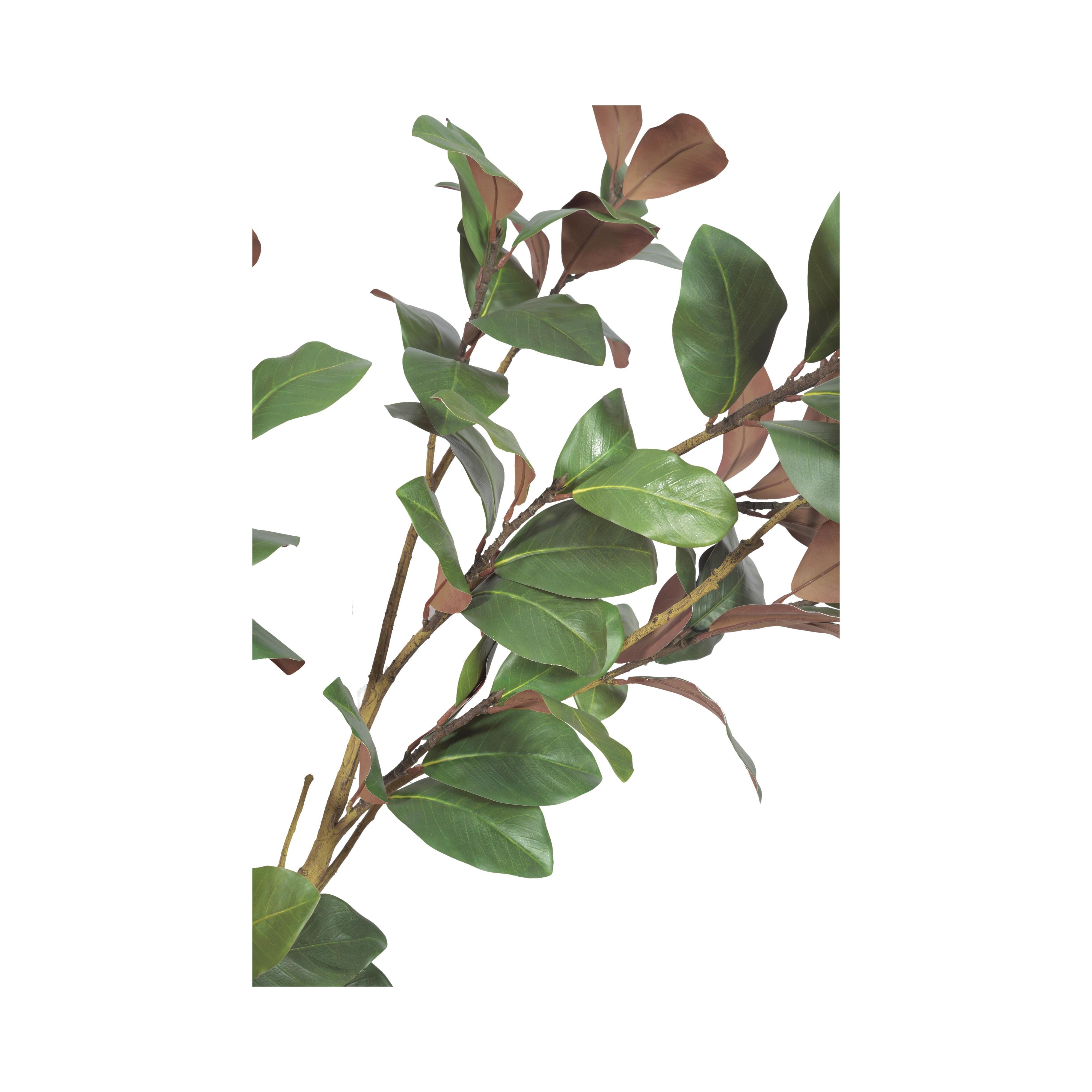 Greenery Greenery - image 2