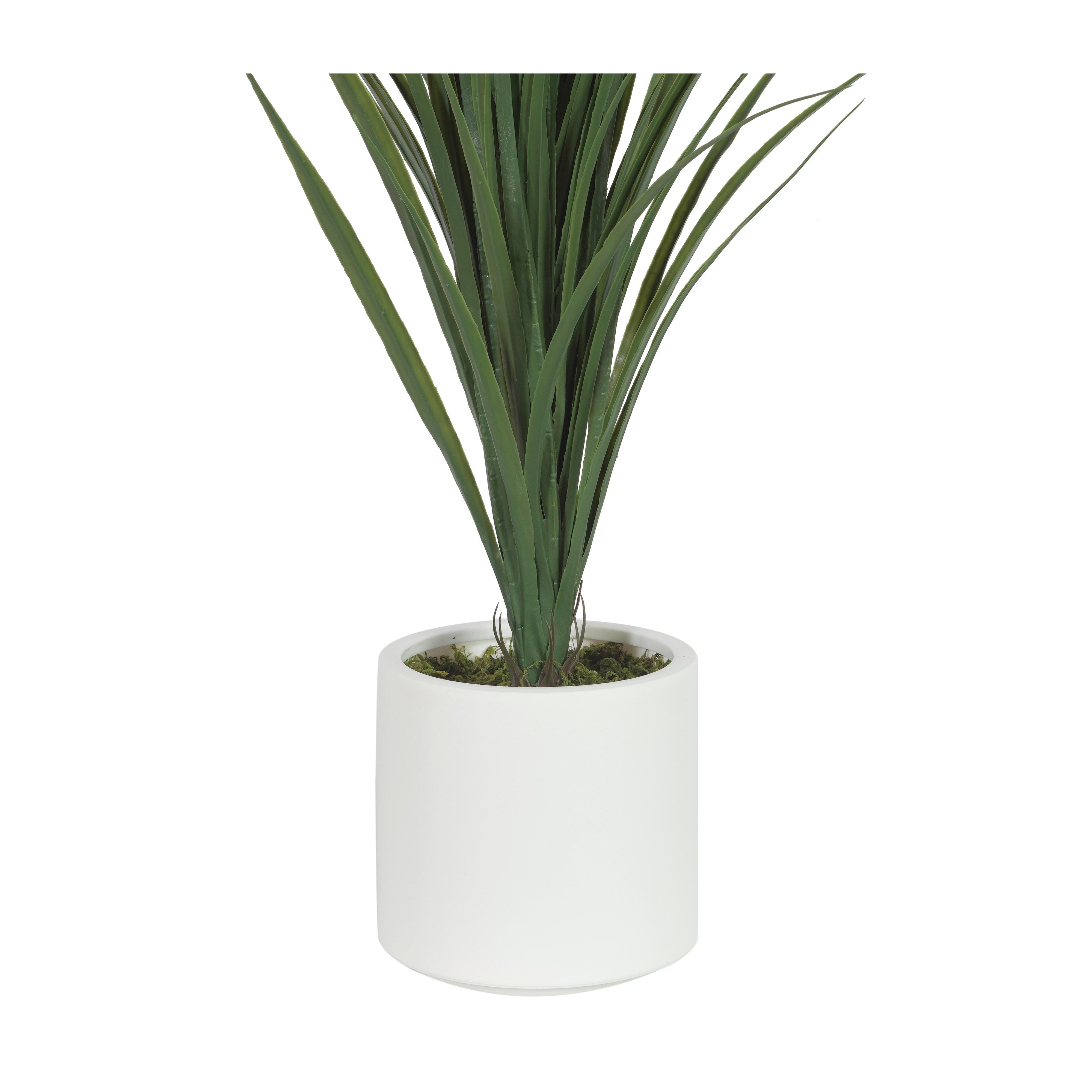Greenery Greenery - image 2