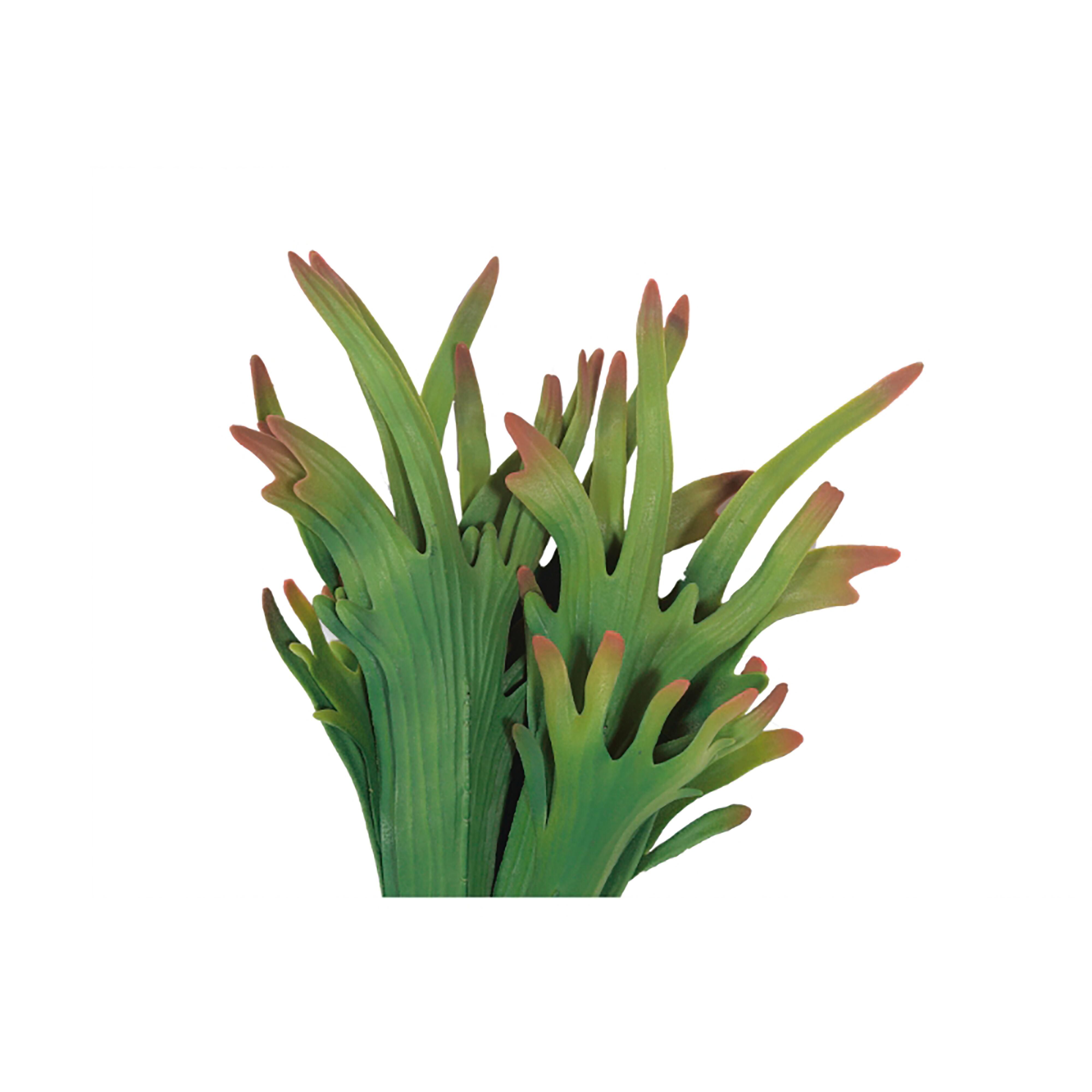 Greenery Greenery - image 2