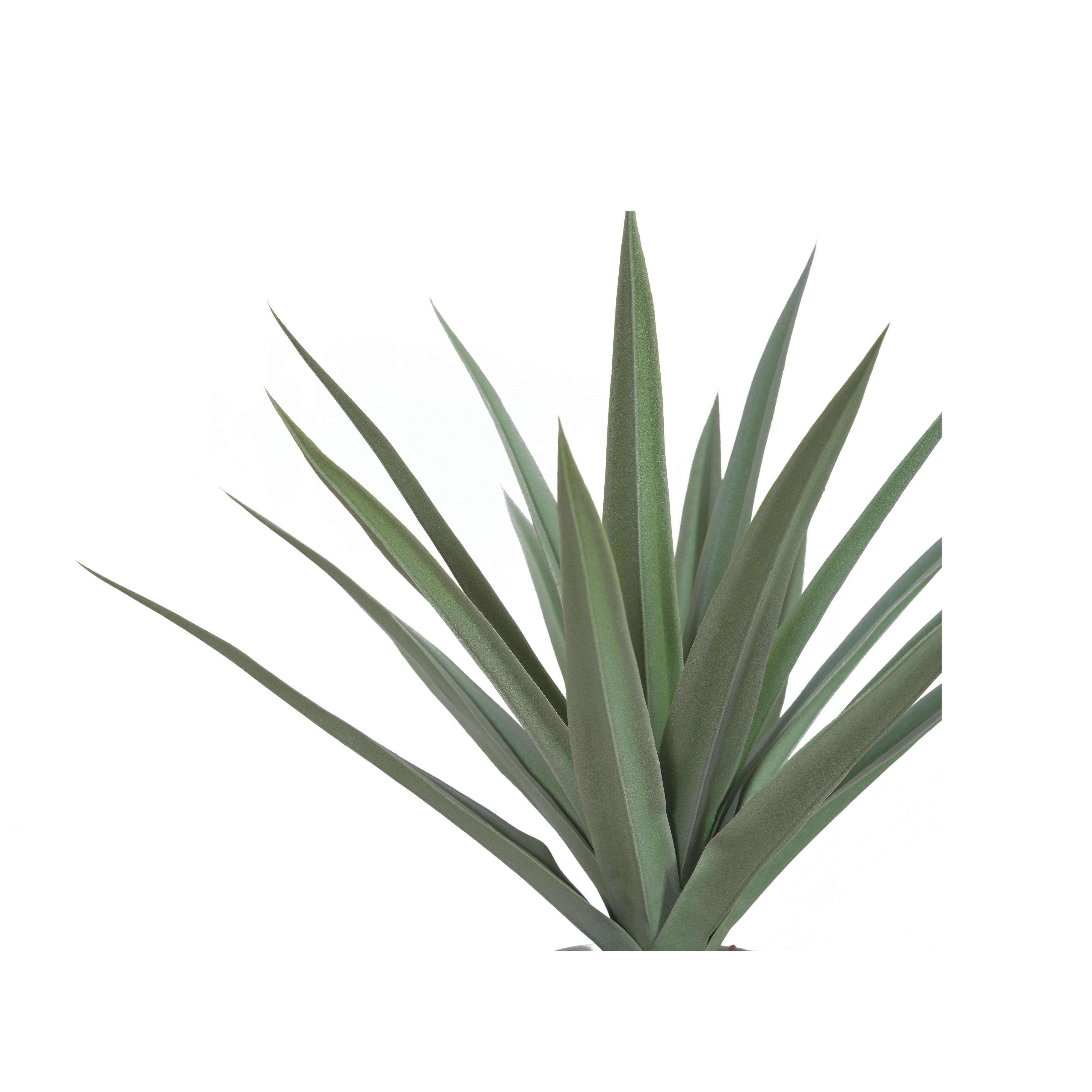 Greenery Greenery (Set of 4) - image 2