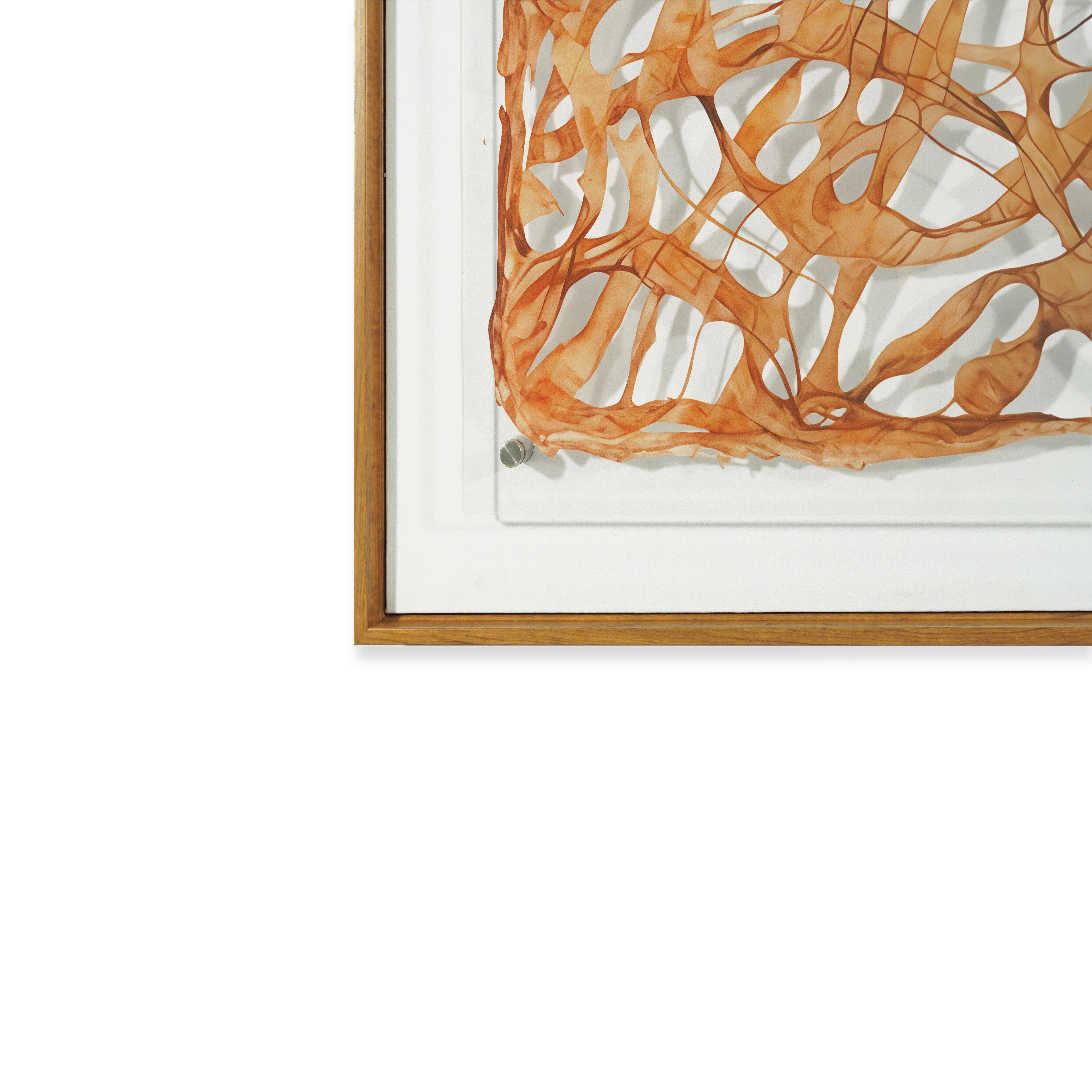 Wall Art Wall Art - image 4