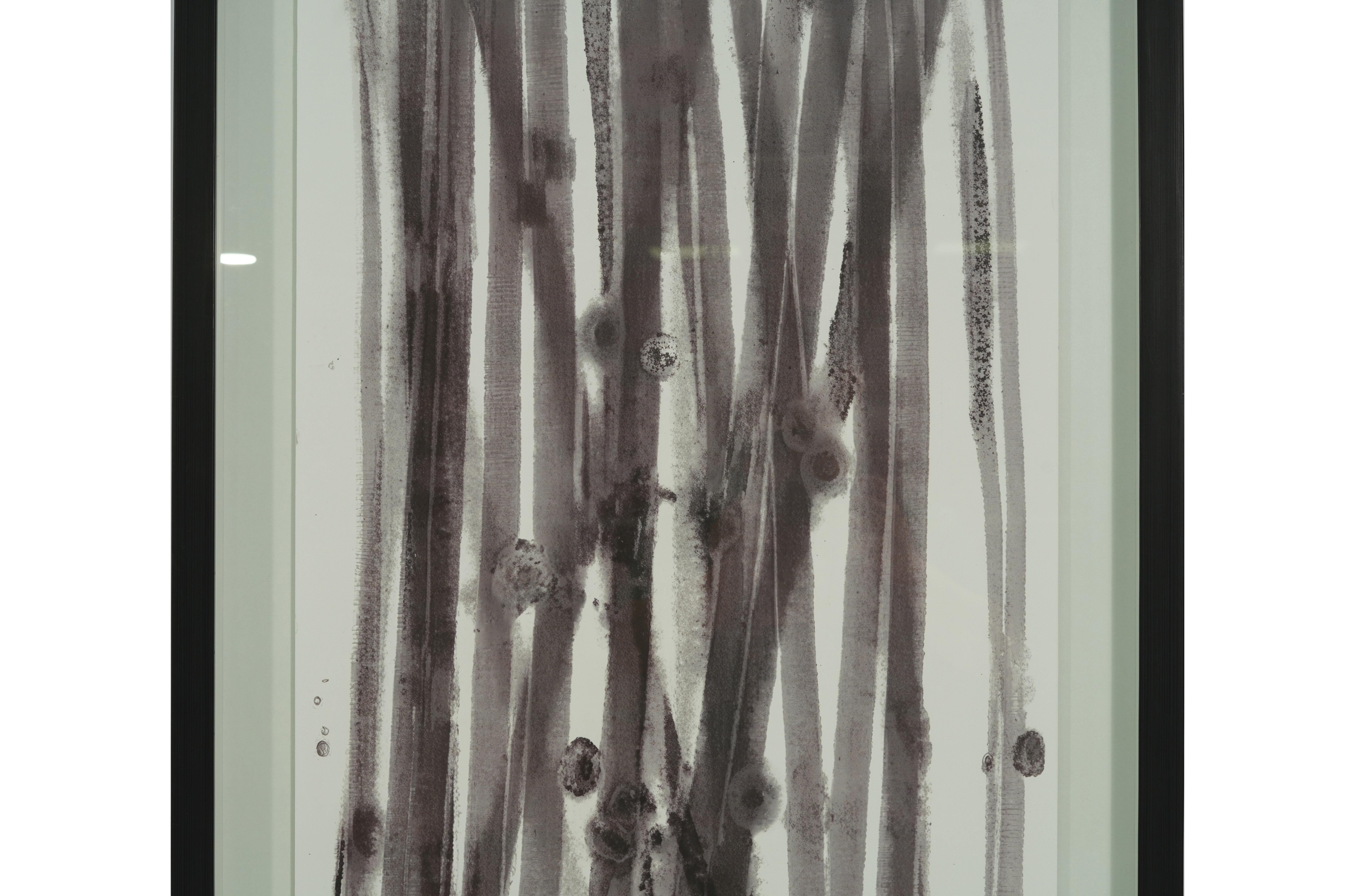 Wall Art Wall Art - image 4