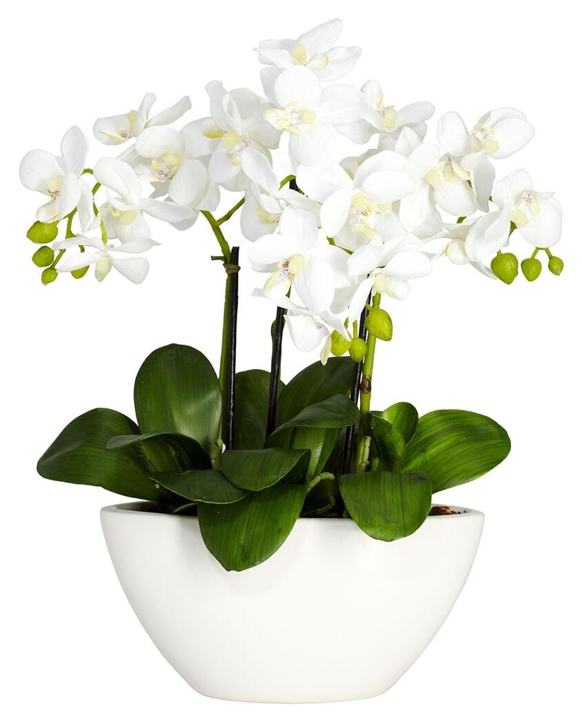 Home Accent Phalaenopsis Silk Flower Arrangement, , large