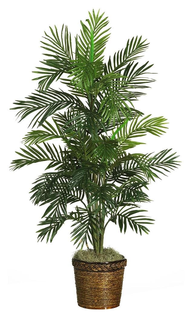 Home Accent 56&rdquo; Areca Tree with Basket, , large