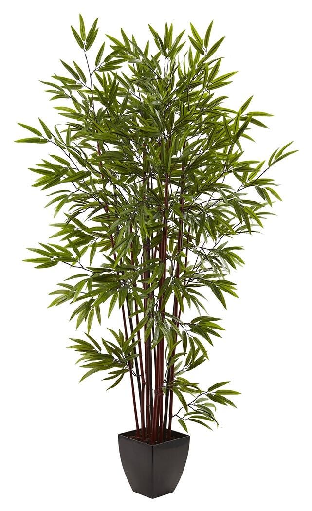 Home Accent 6&rsquo; Bamboo Silk Tree with Planter, , large