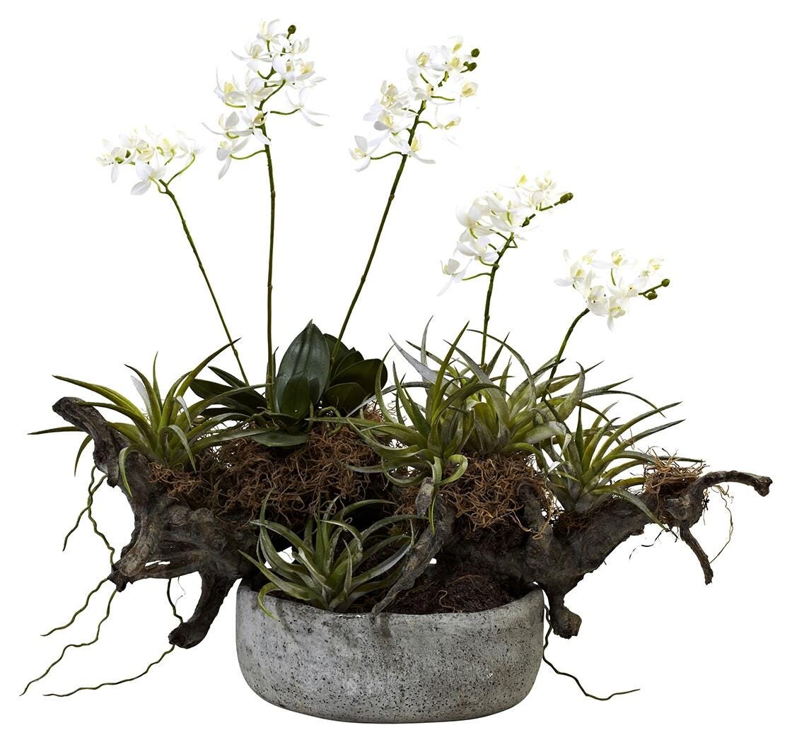 Home Accents Orchid and Succulent Garden with Driftwood and Decorative Vase, , large