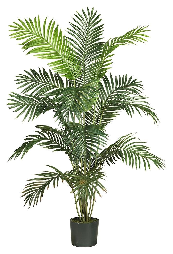 Home Accents 6' Paradise Palm, , large