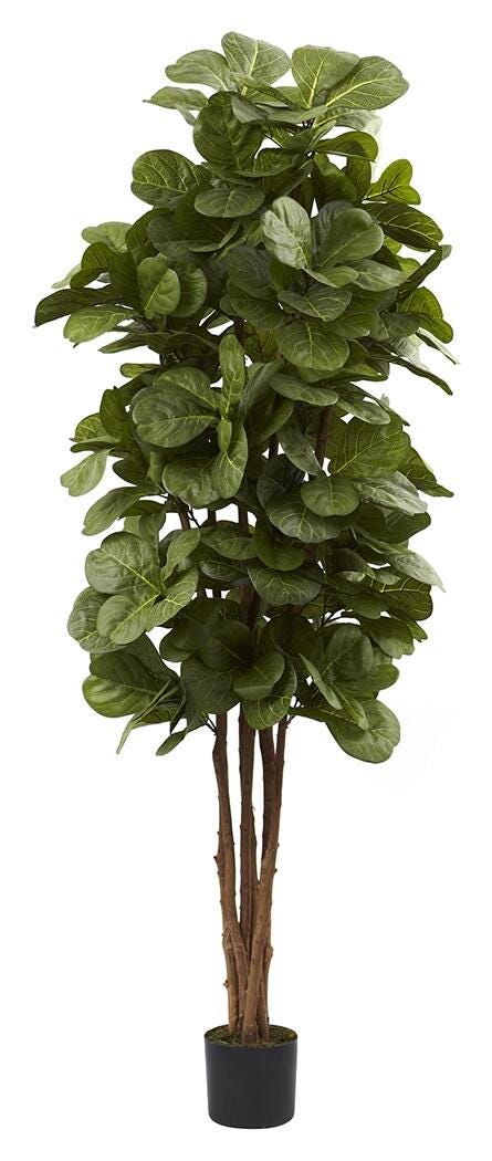 6' Fiddle Leaf Fig Silk Tree | Ashley