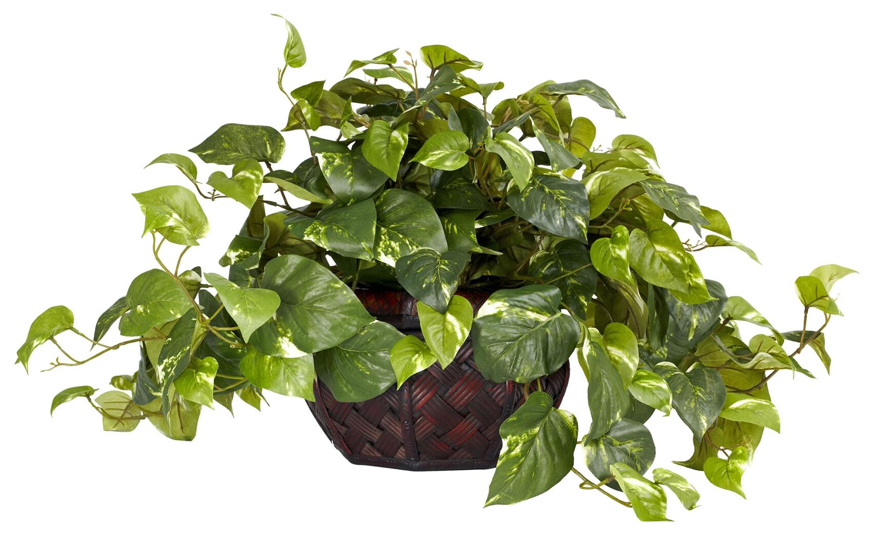 Home Accents Pothos with Decorative Vase Silk Plant, , large
