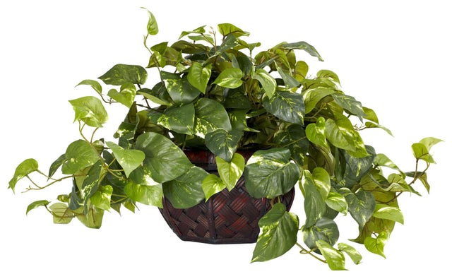 Pothos with Decorative Vase Silk Plant