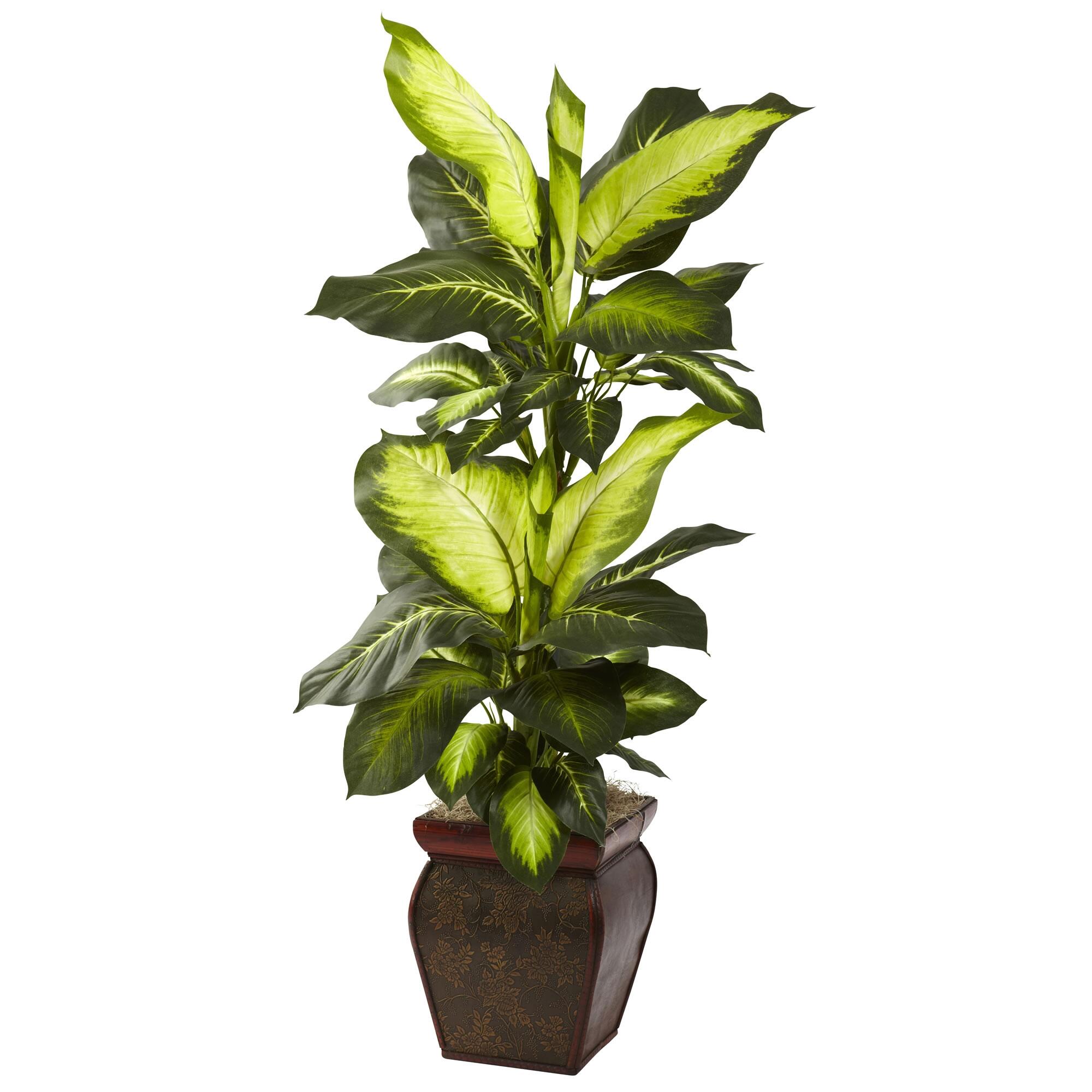 Home Accents Golden Dieffenbachia with Decorative Planter, , rollover