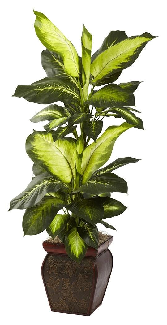 Home Accents Golden Dieffenbachia with Decorative Planter, , large