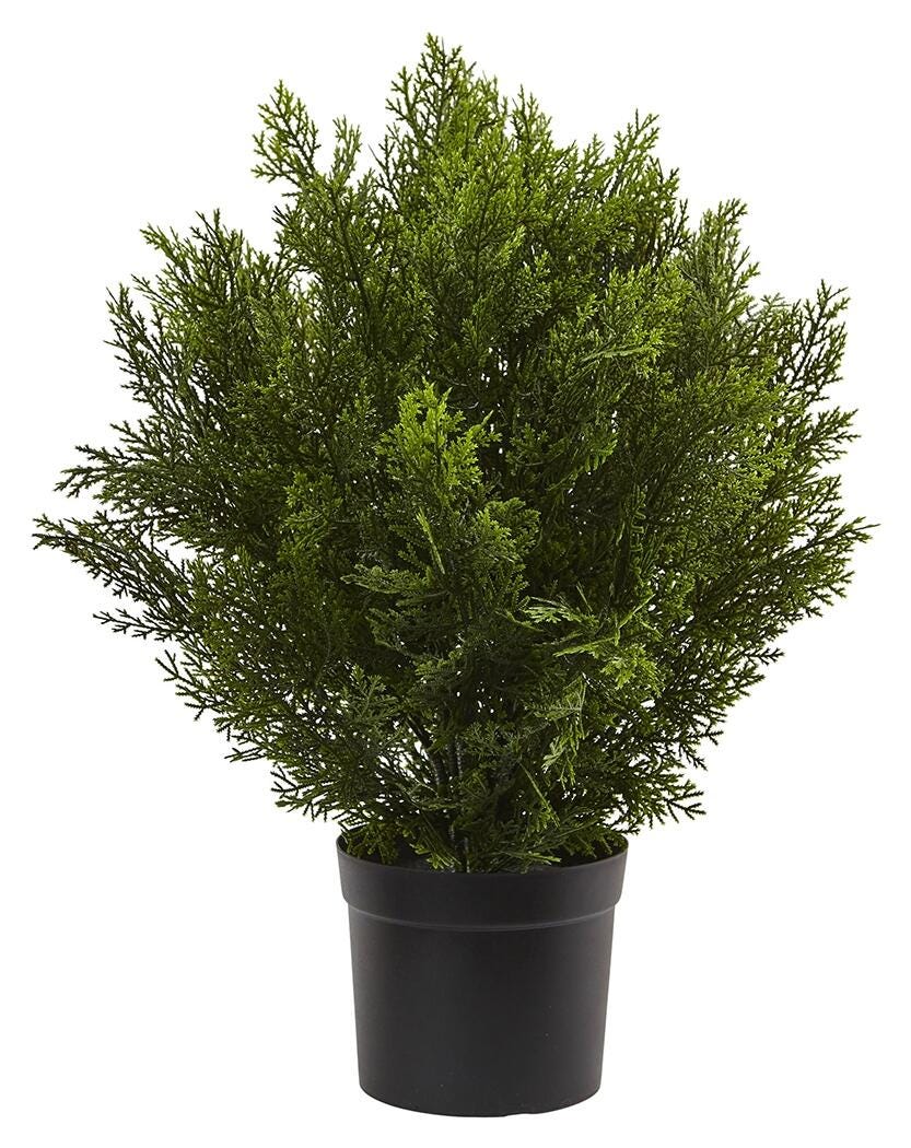 Home Accents 2&rsquo; Cedar Bush (Indoor/Outdoor), , large