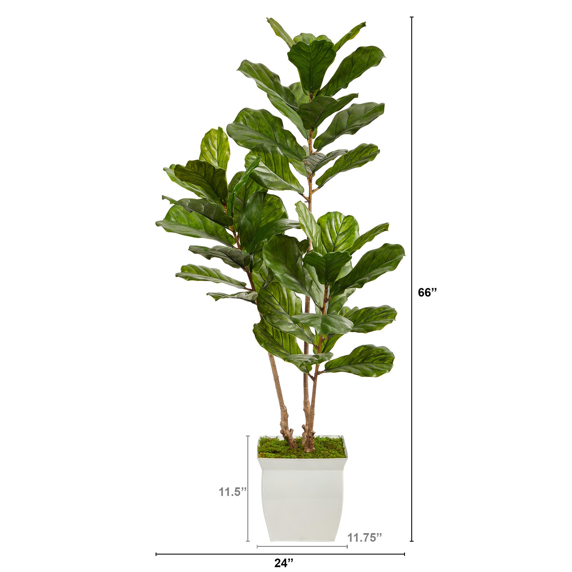5.5' Fiddle Leaf Artificial Tree in White Metal Planter UV