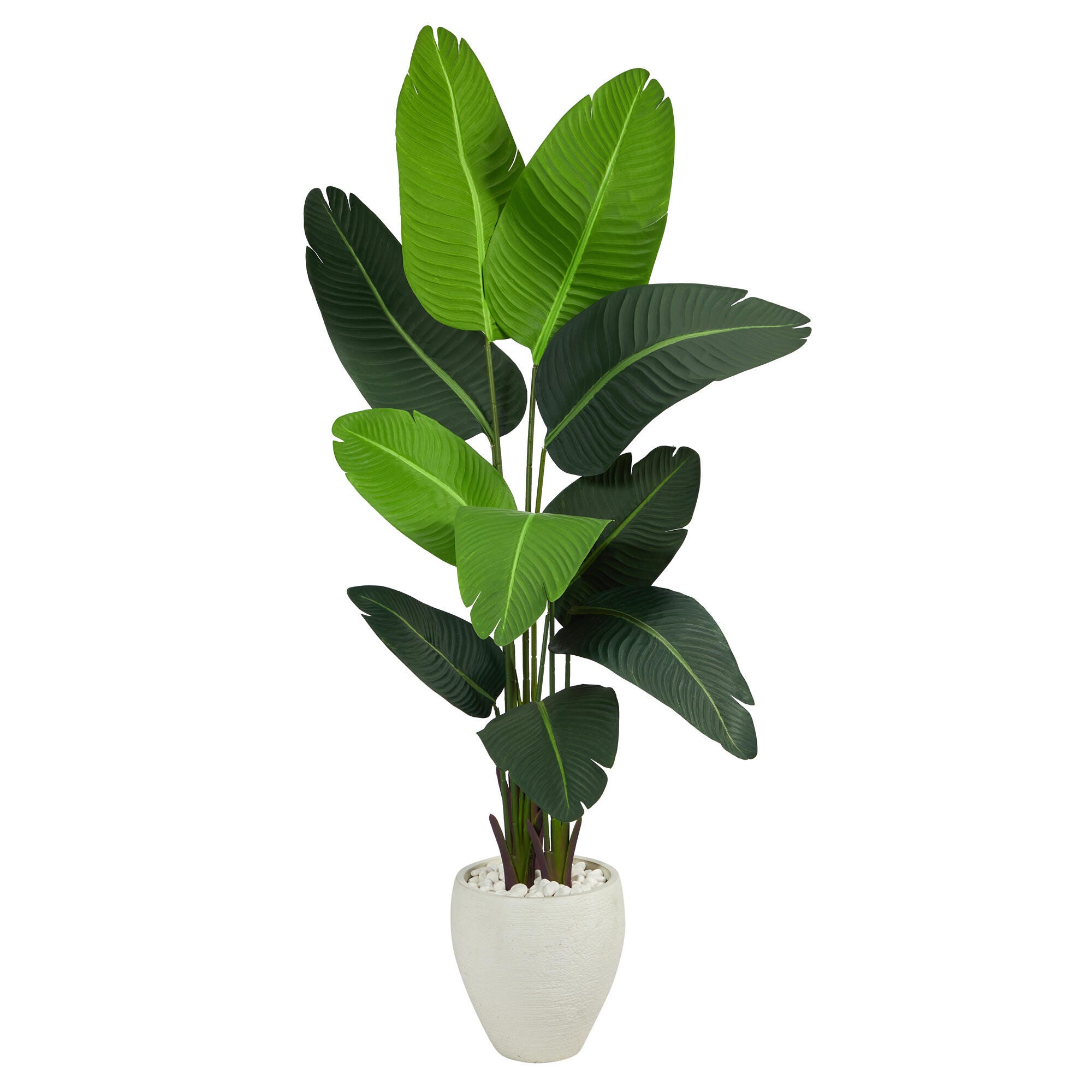 5.5&rsquo; Travelers Palm Artificial Tree in White Planter, , large