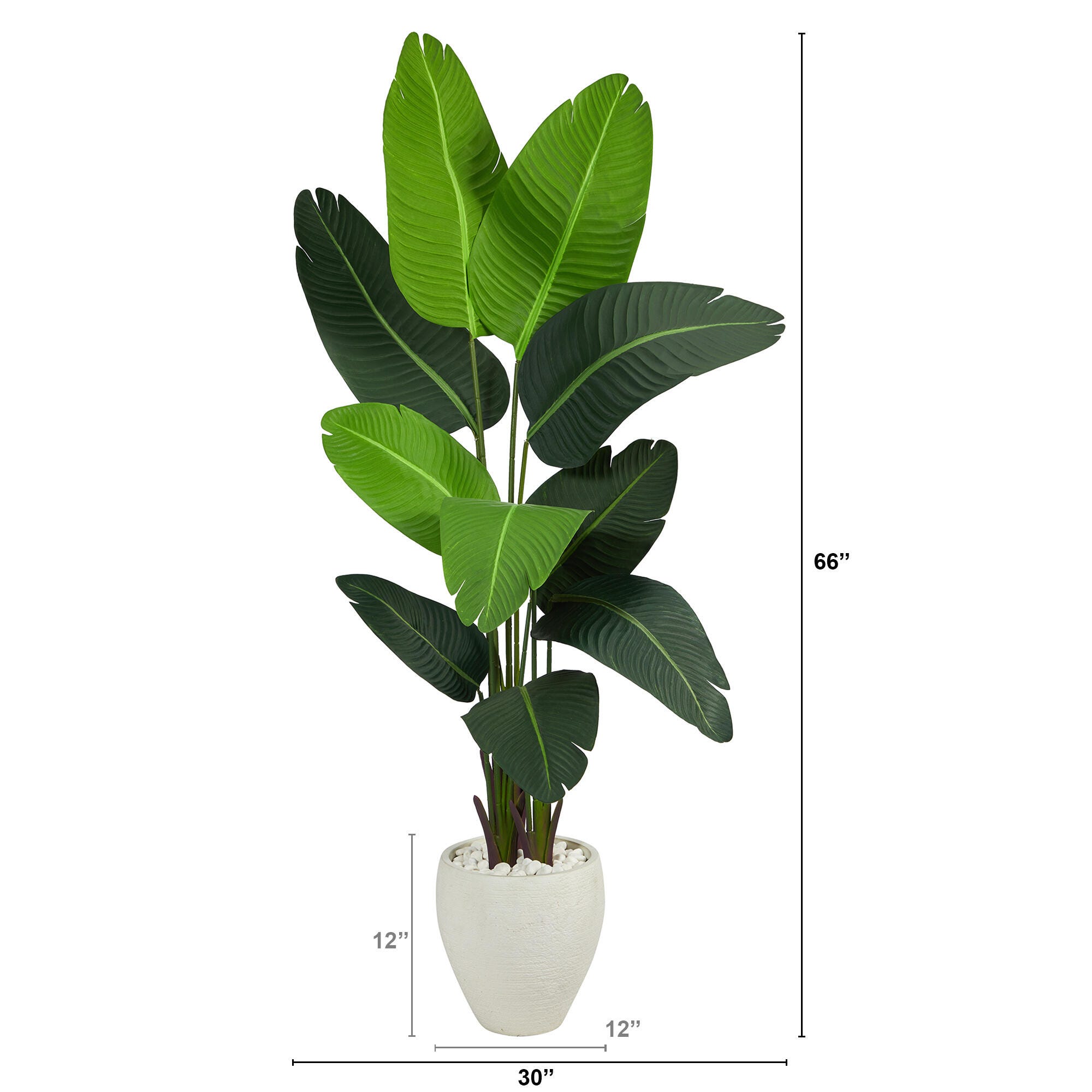 5.5’ Travelers Palm Artificial Tree in White Planter, , large