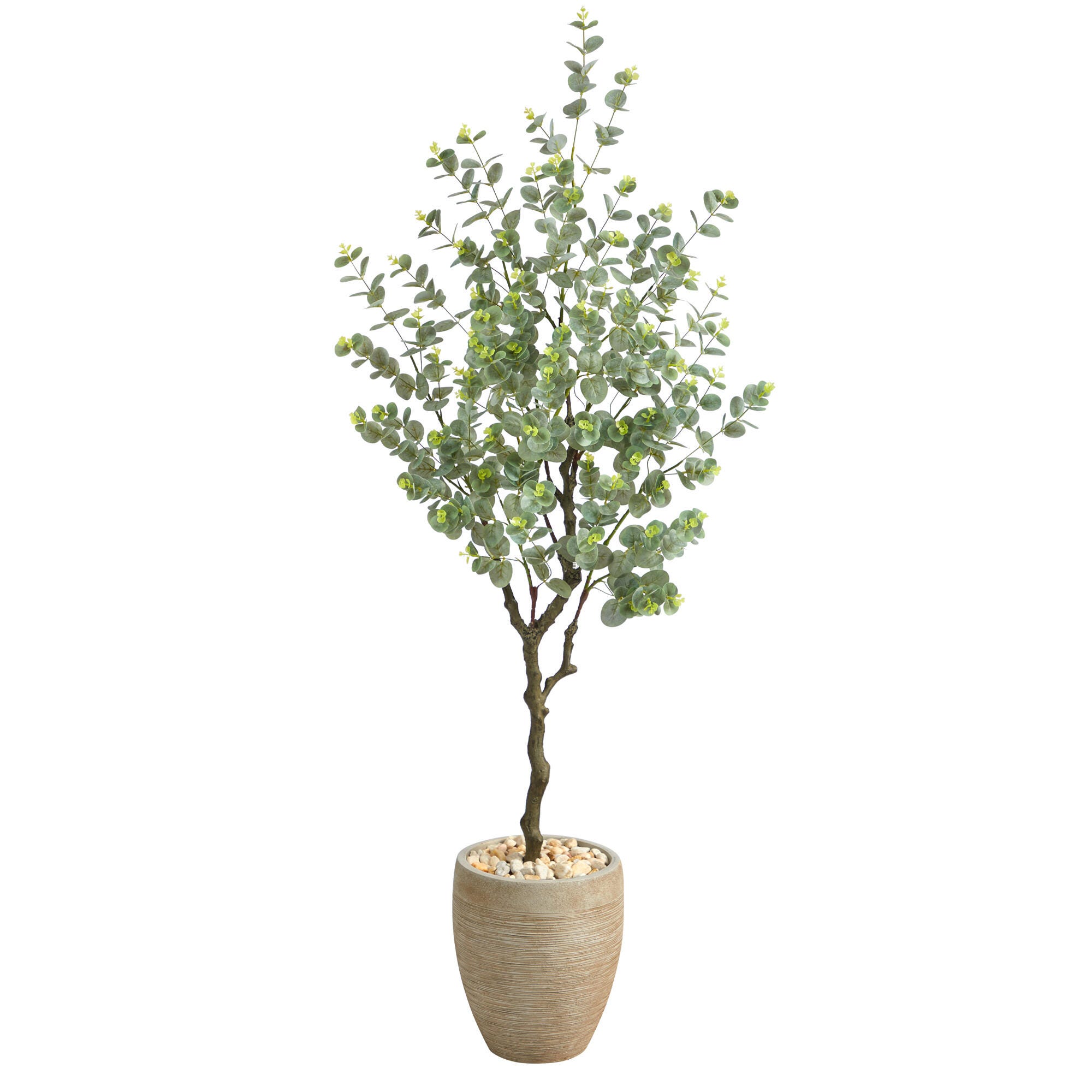 5&rsquo; Eucalyptus Artificial Tree in Sandstone Planter, , large